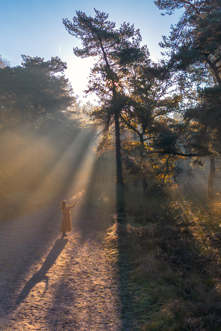 W14 Self-Portrait / New Perspectives