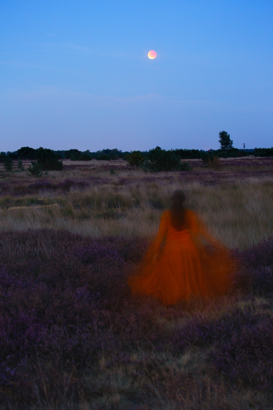 W24 Movement / Follow the journey