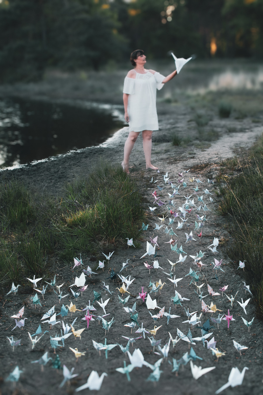 W6 Favorite Book / Paper Cranes