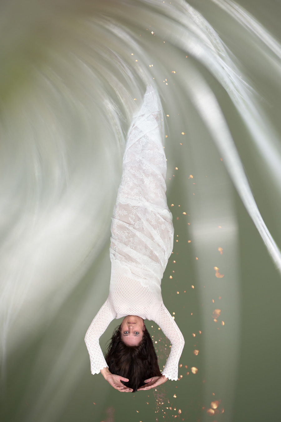 W39 Renewed / Pupation - Ontpopping