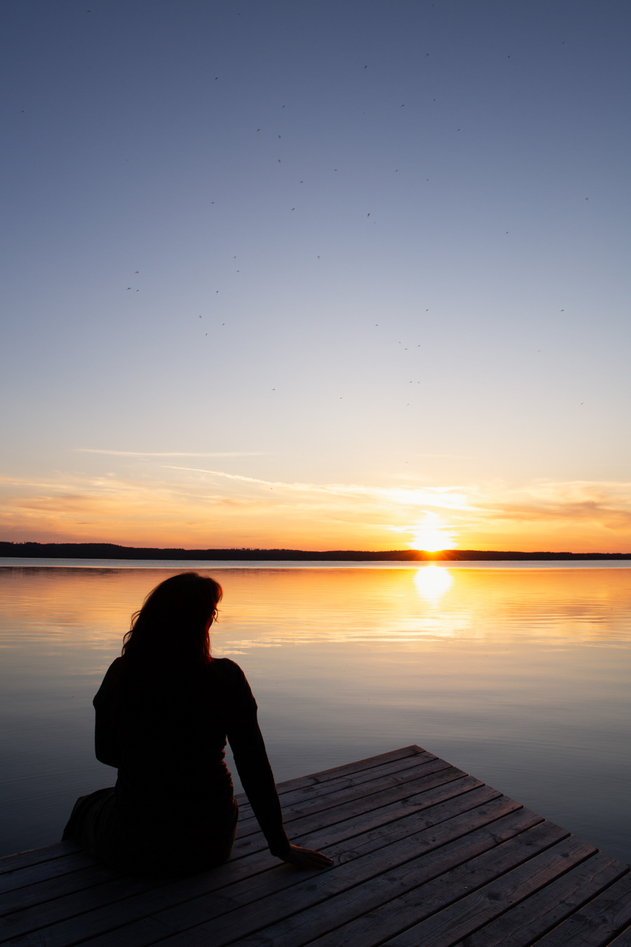 W25 Sunset / Serenity