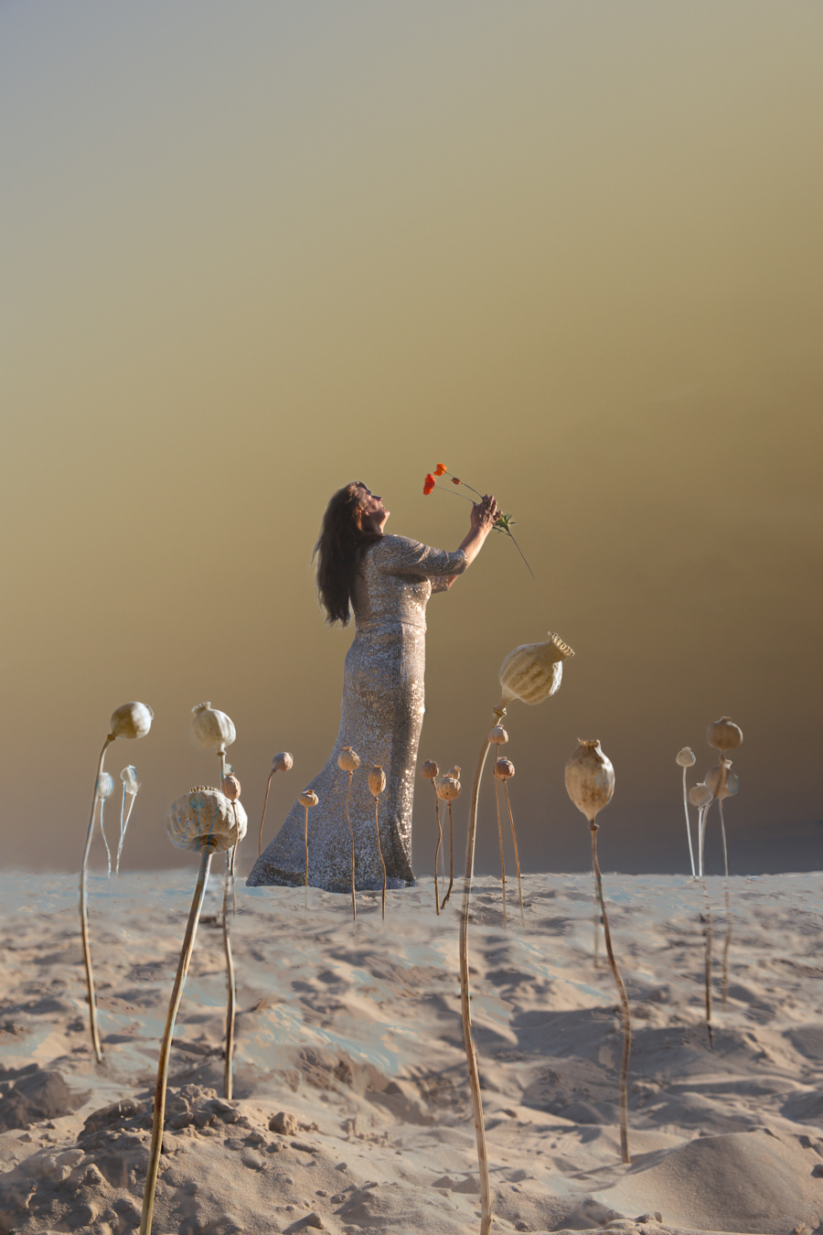 W4 Fantasy / Another World