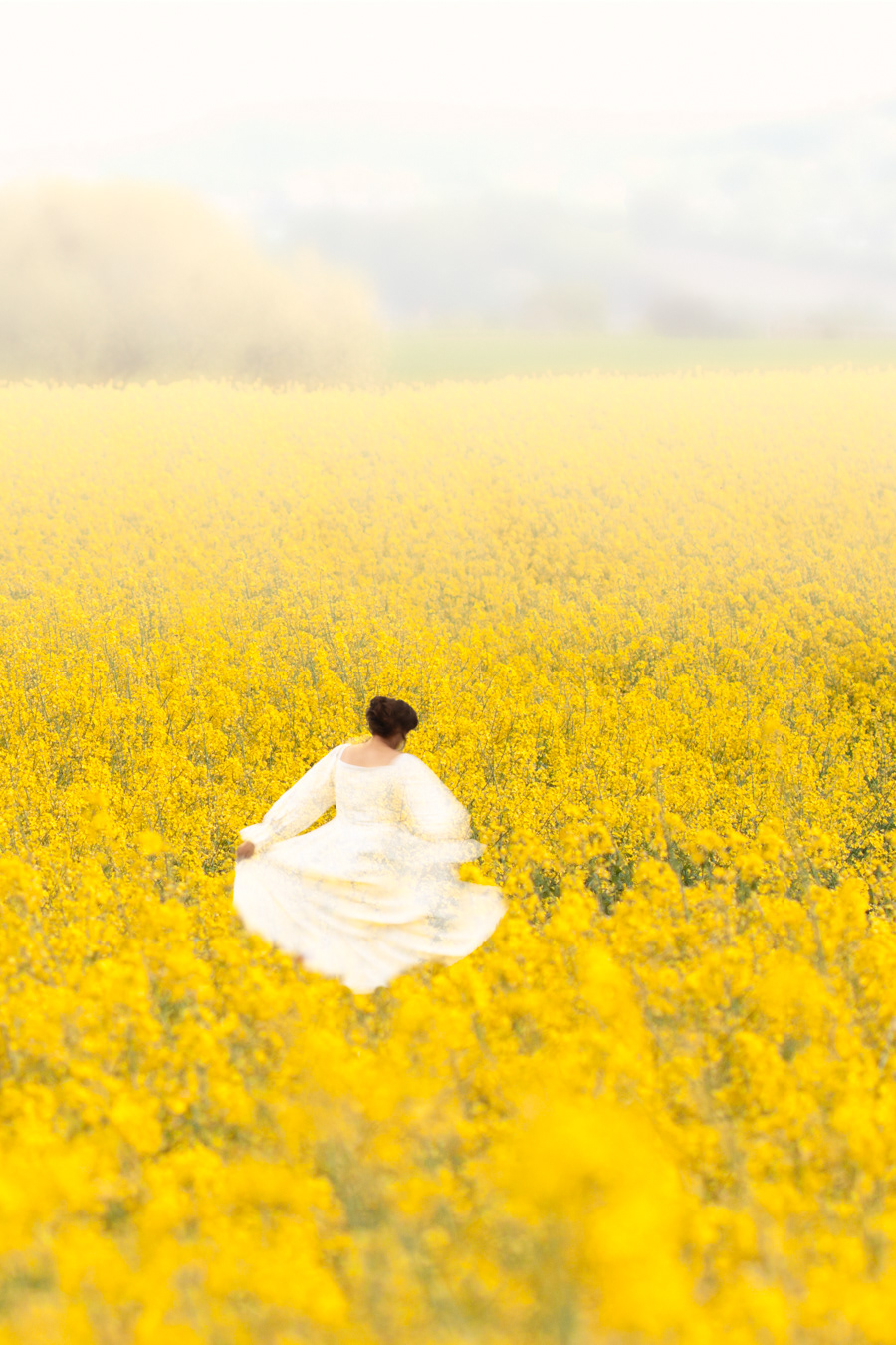 W16 Joy / Sparkling Yellow