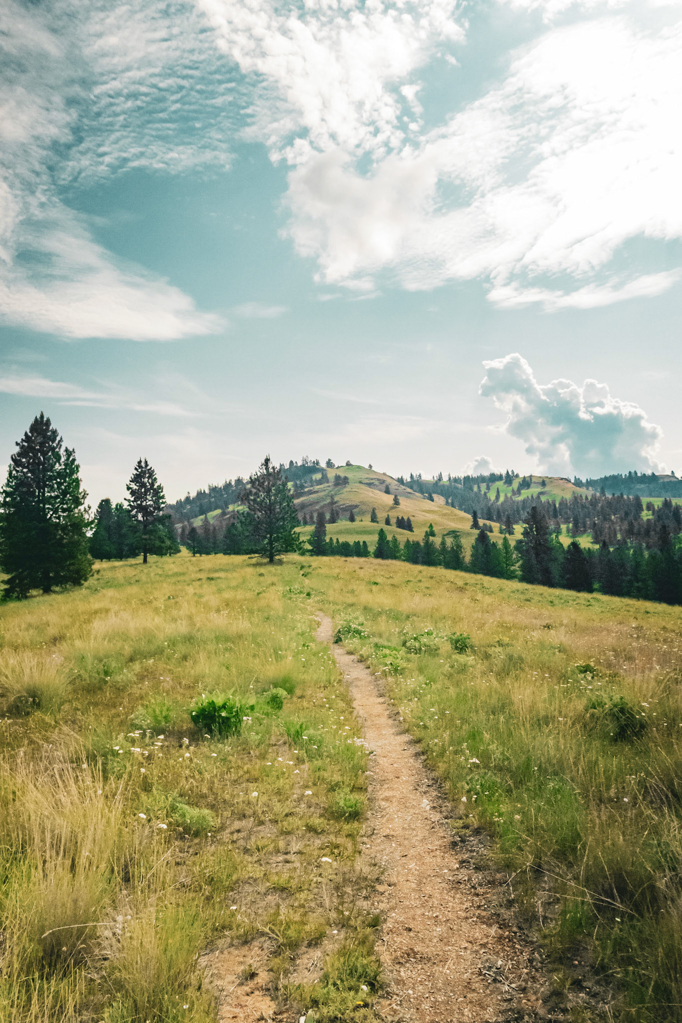Wild Horse Island, MT
