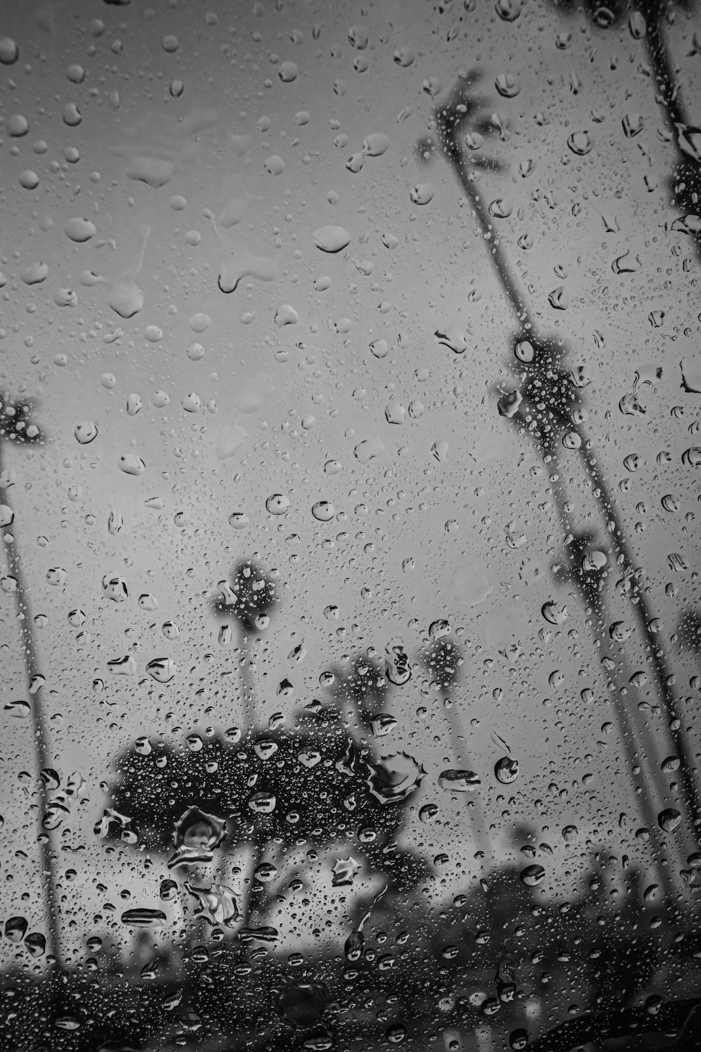 San Diego, CA - 2023