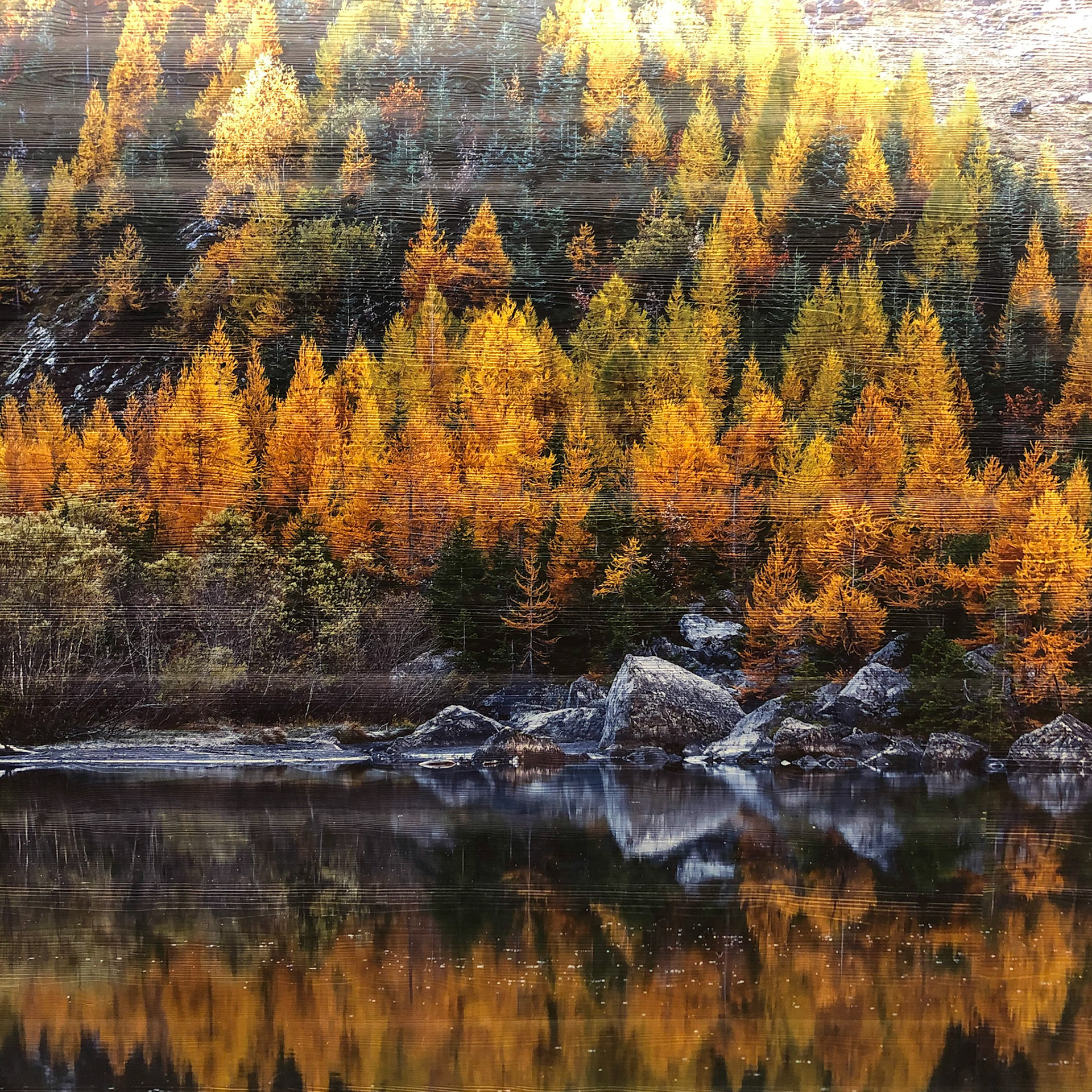 (détails de l'impression)