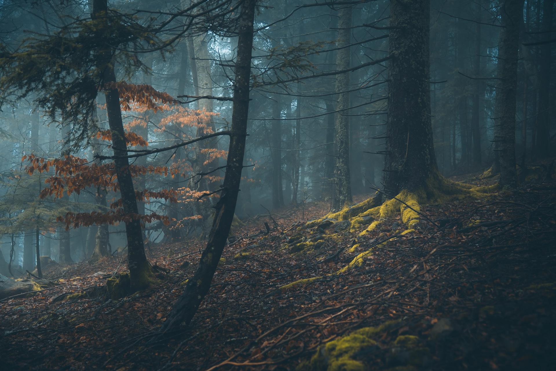 Là où va la brume | Part II