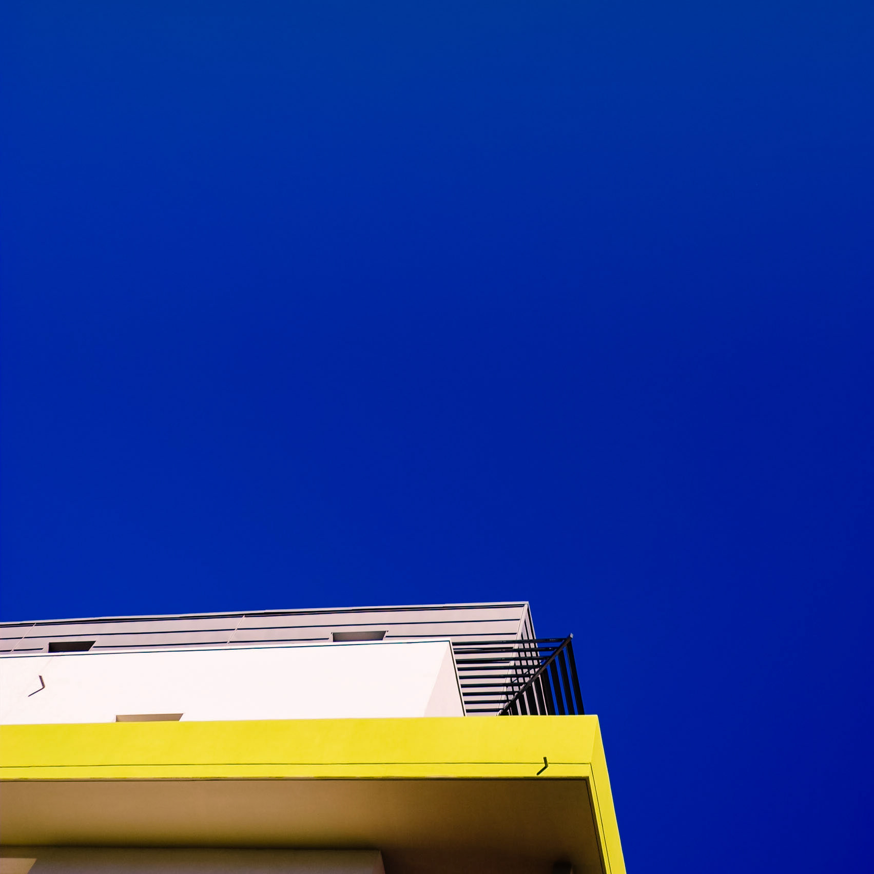 Le sourire du poussin jaune