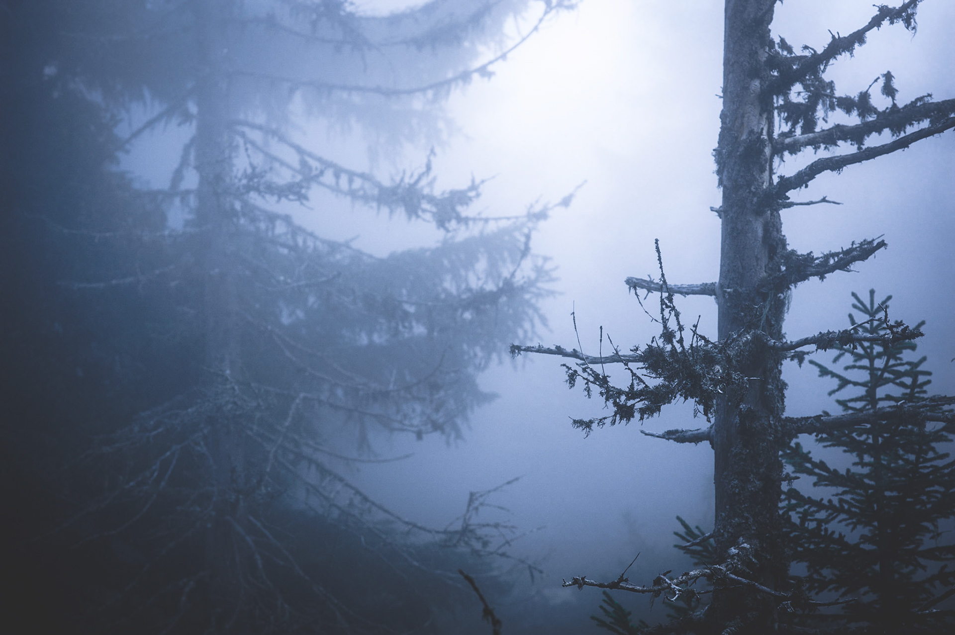 La mort bleue