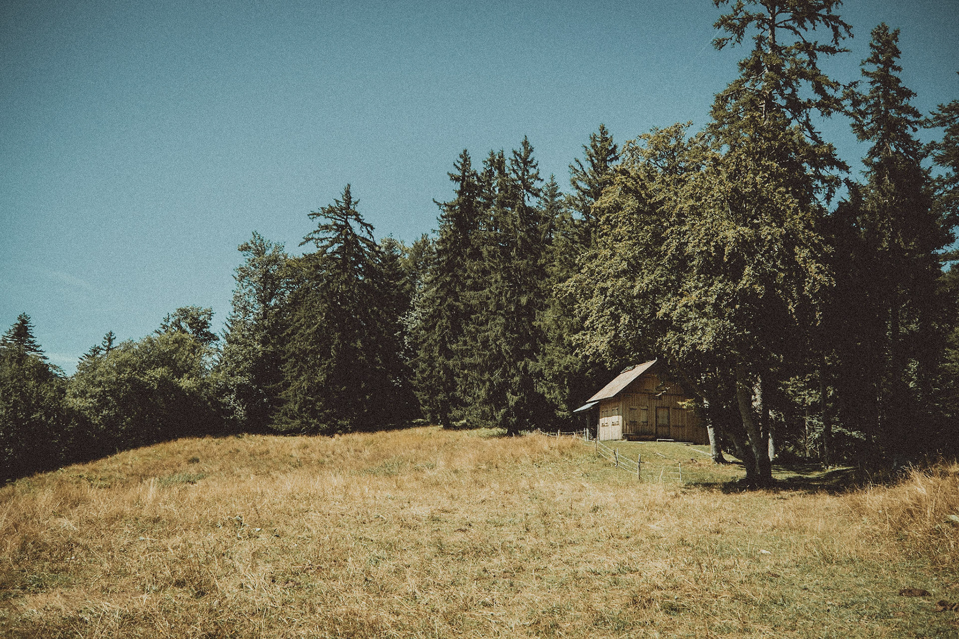 Chalet ONF des Barbus