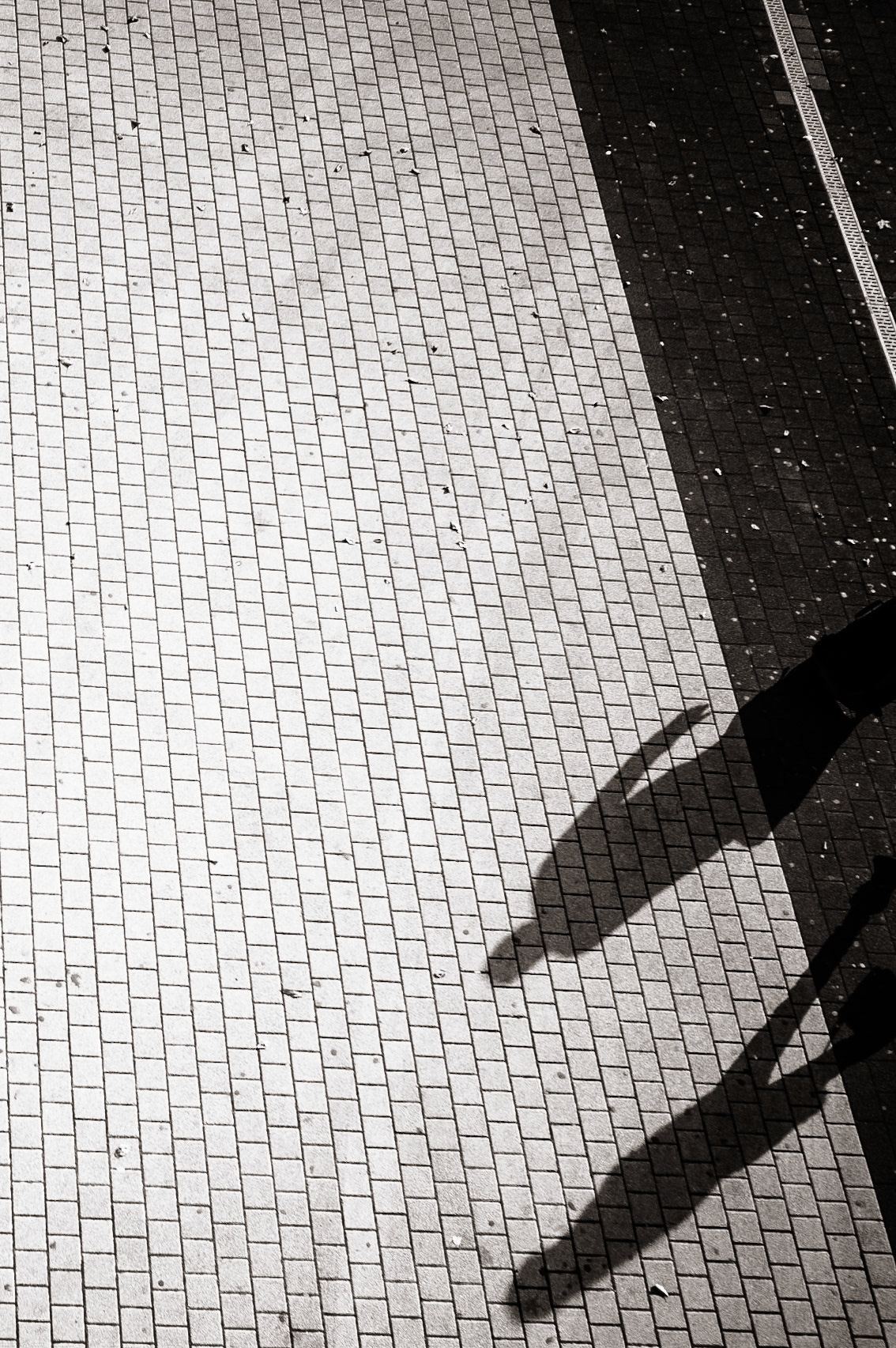 Les âmes vagabondes