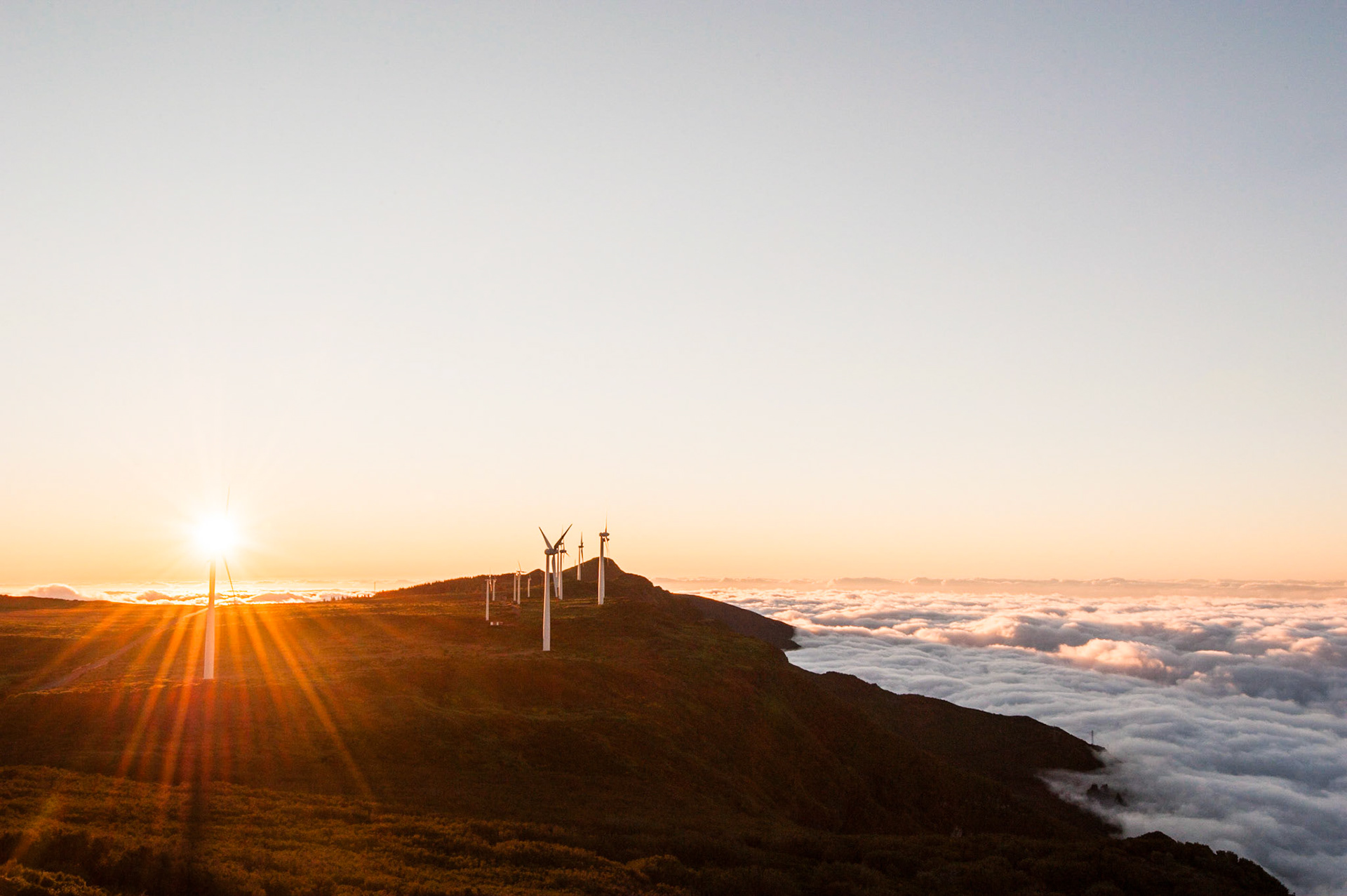 Back to Madeira - 7/7 -