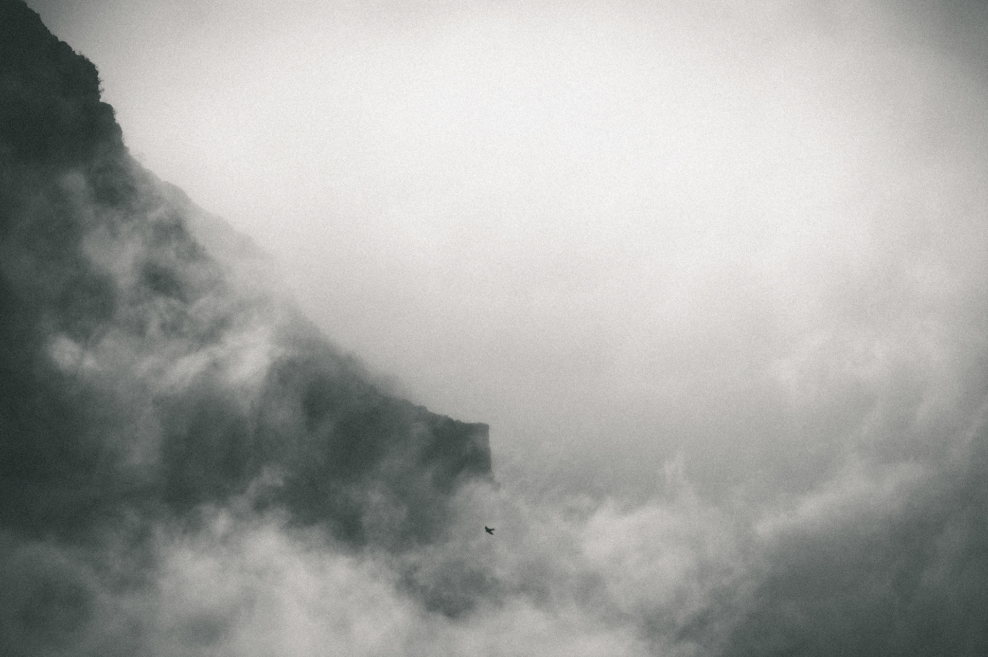 Back to Madeira - 4/7