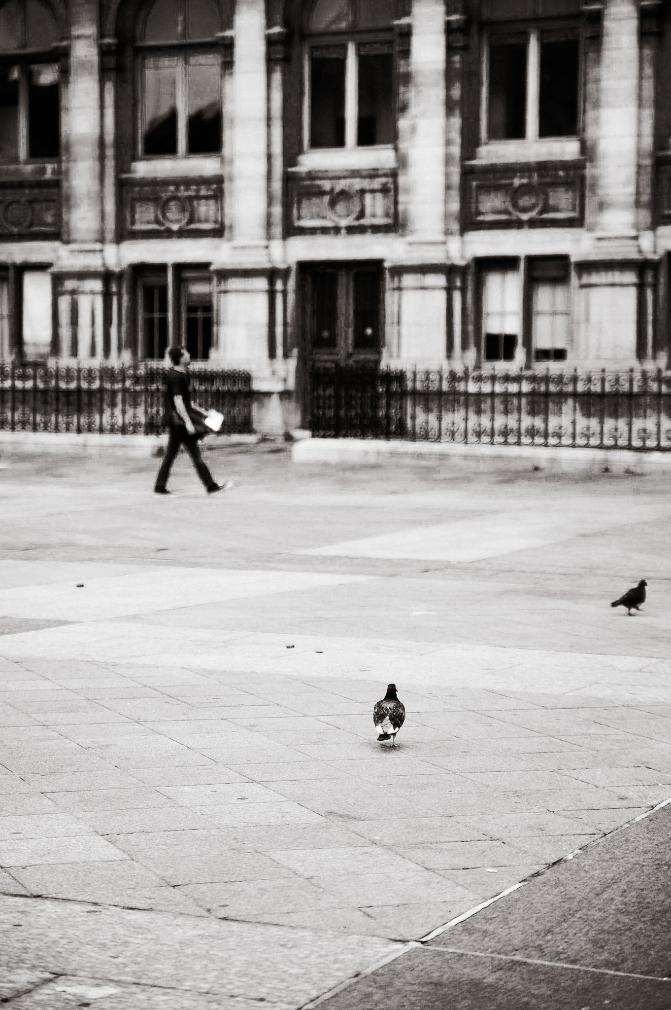 Place aux solitaires