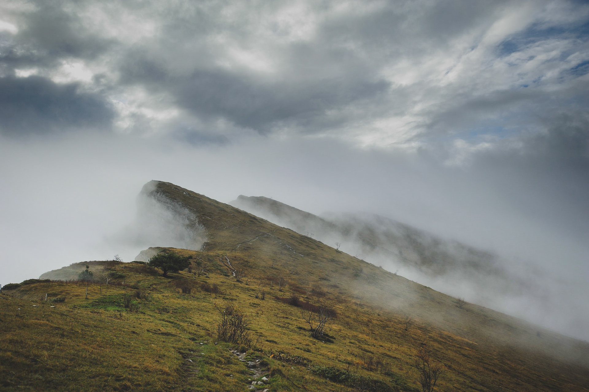 laisser la brume aller et venir, délicatement suivre les lignes et effleurer les courbes longuement ...