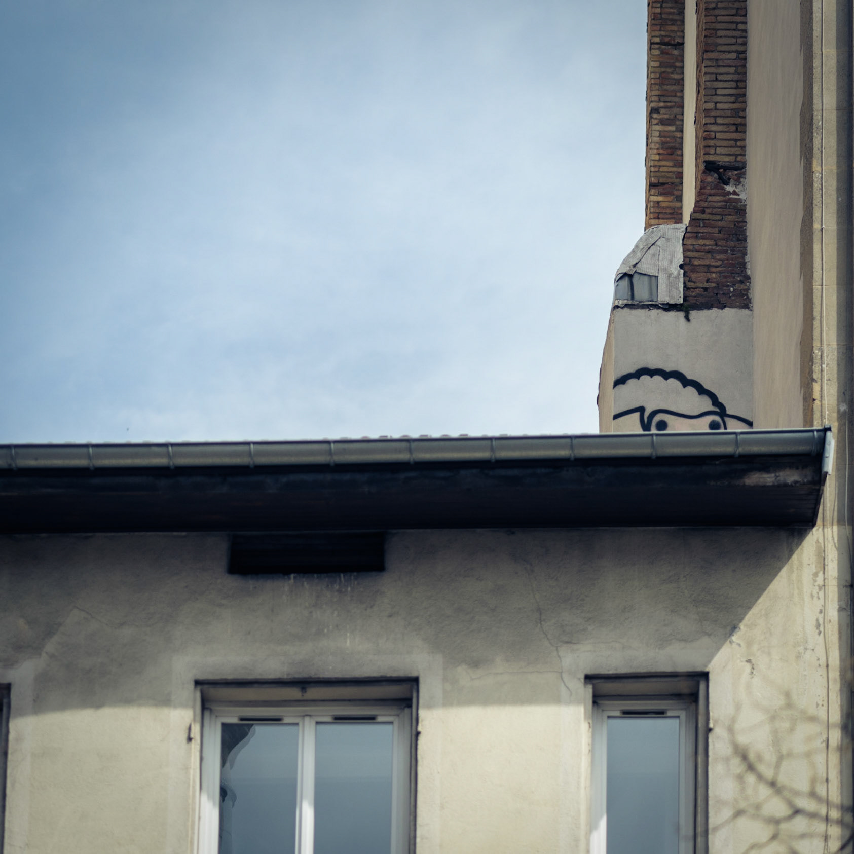 { LA SERIE } Sheep in the city