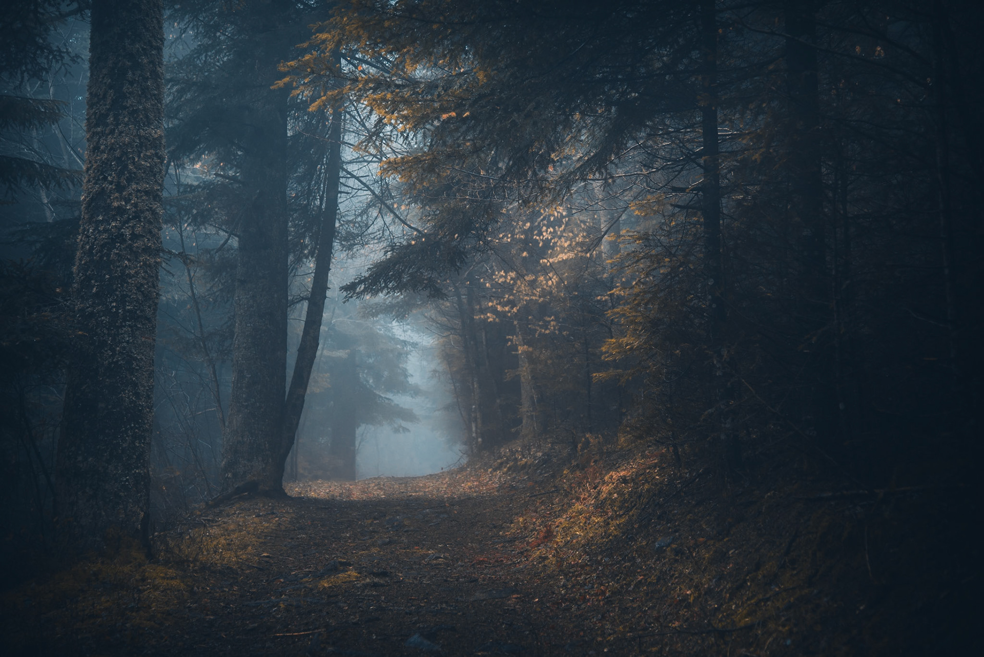 Là où va la brume | Part III