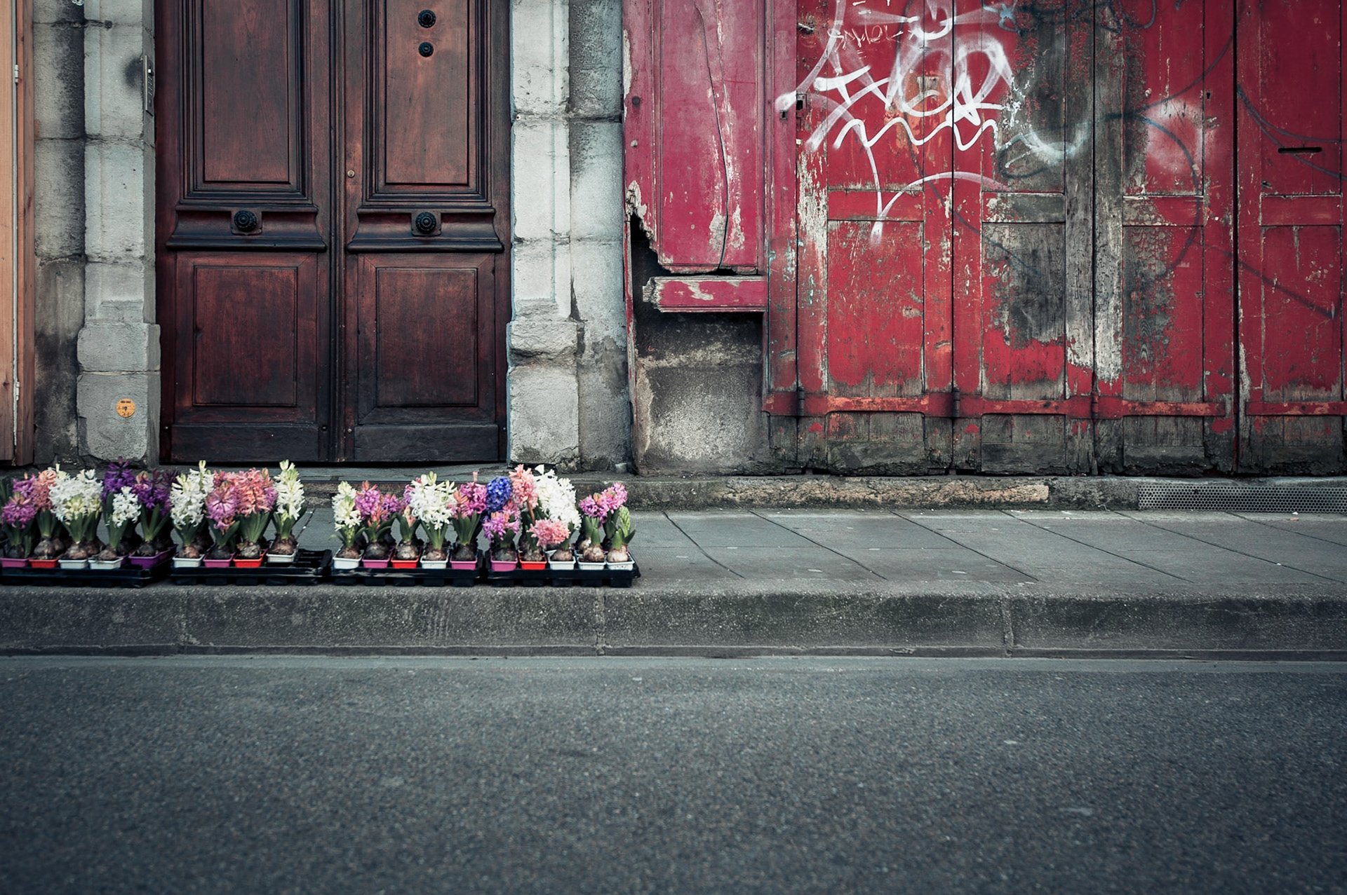 Le boucher qui voulait devenir fleuriste