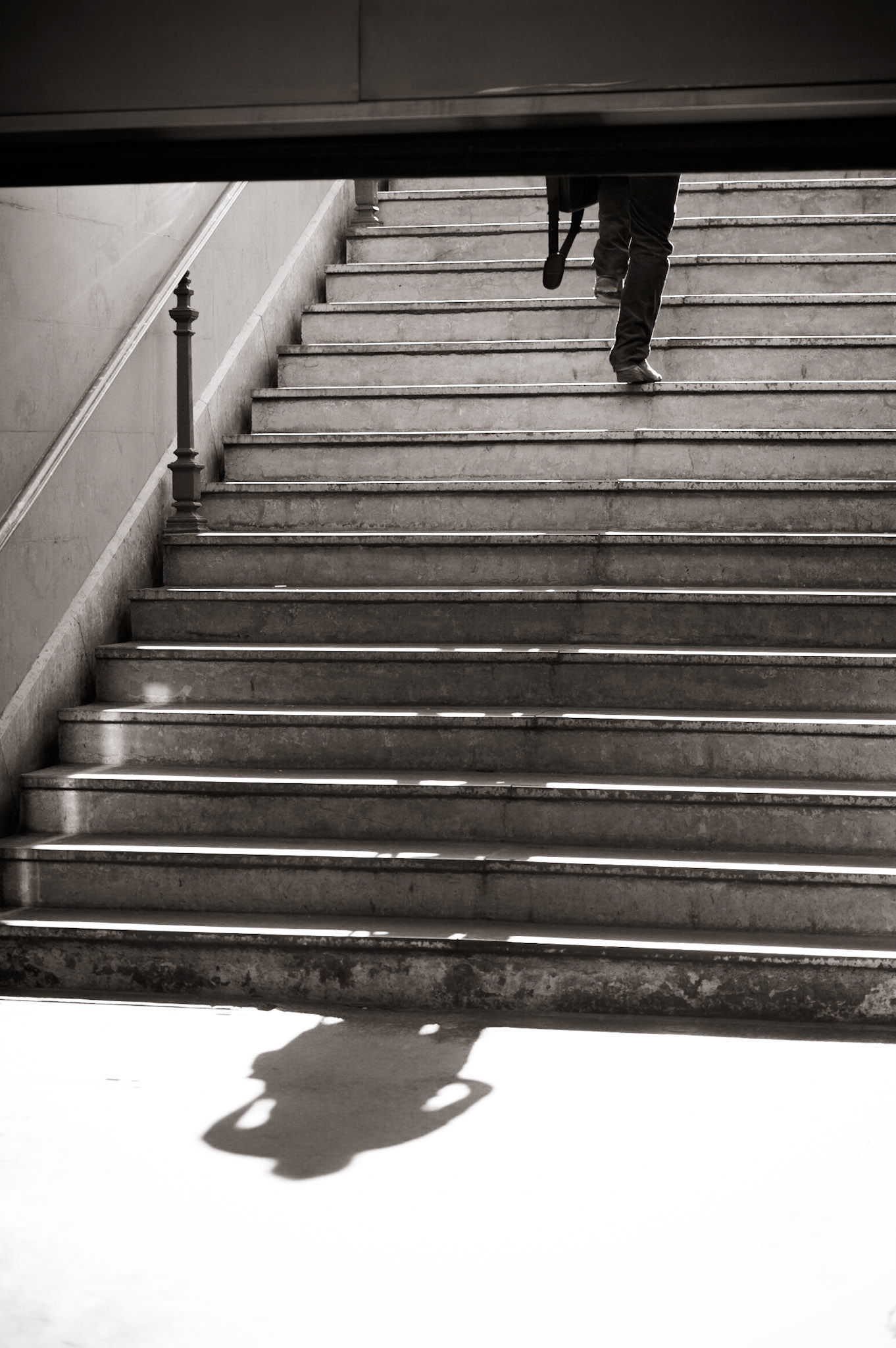Sortir de l'ombre