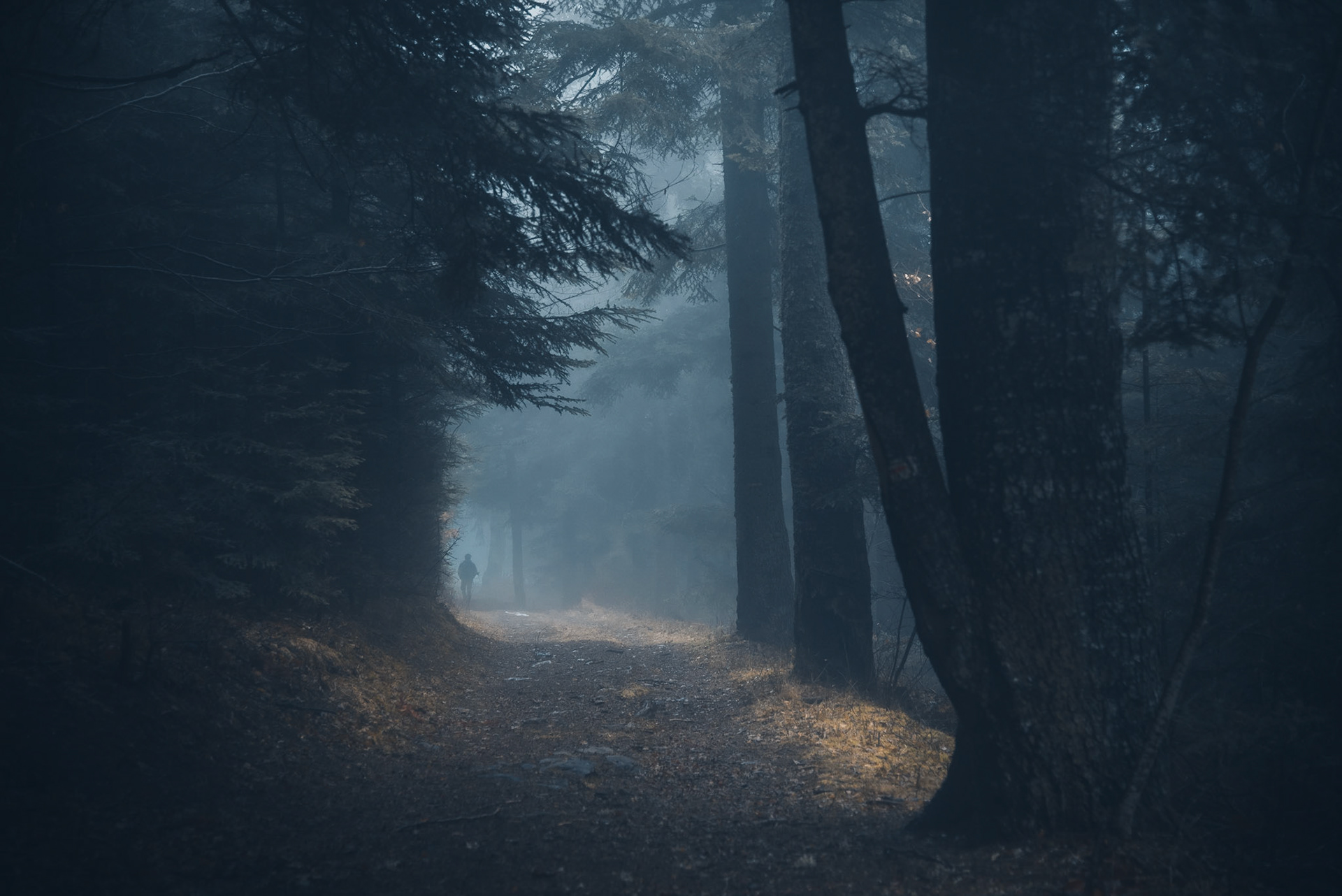 Là où va la brume - Part II