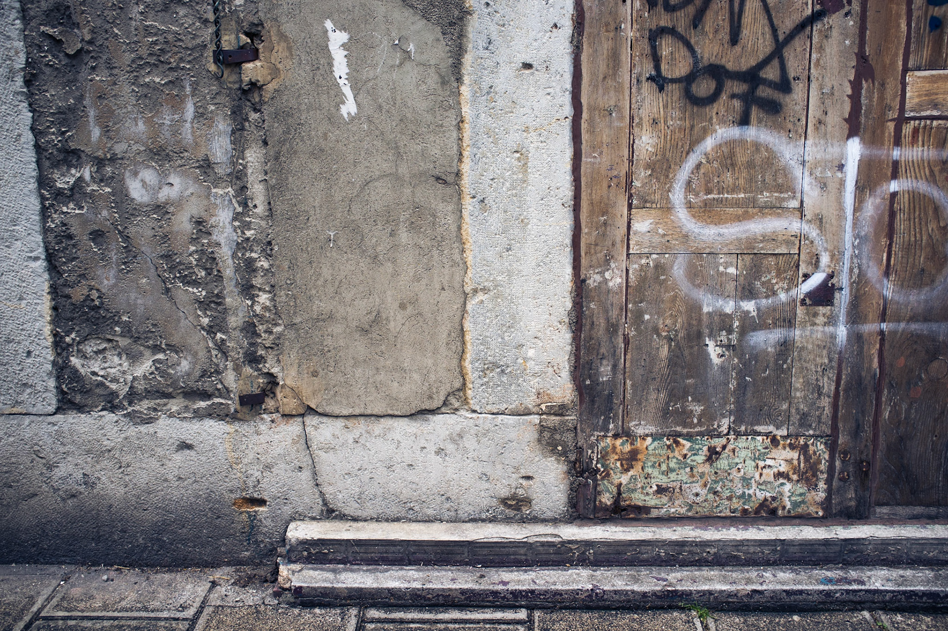 La tanière de l'ours brun ...