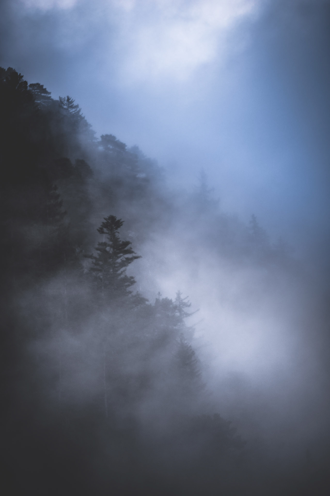 Vaporous feel