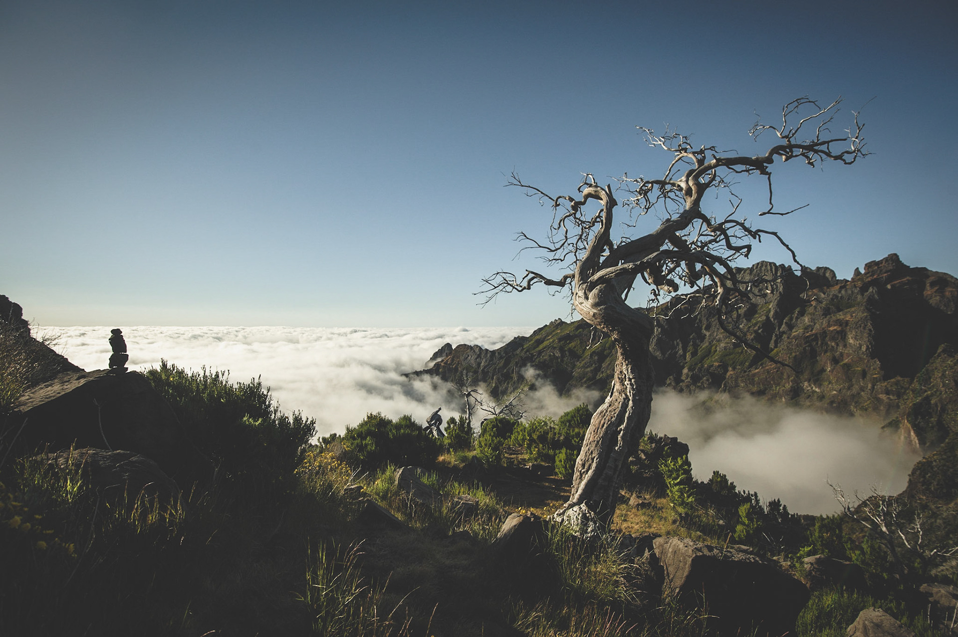 { MADEIRA 2018 }