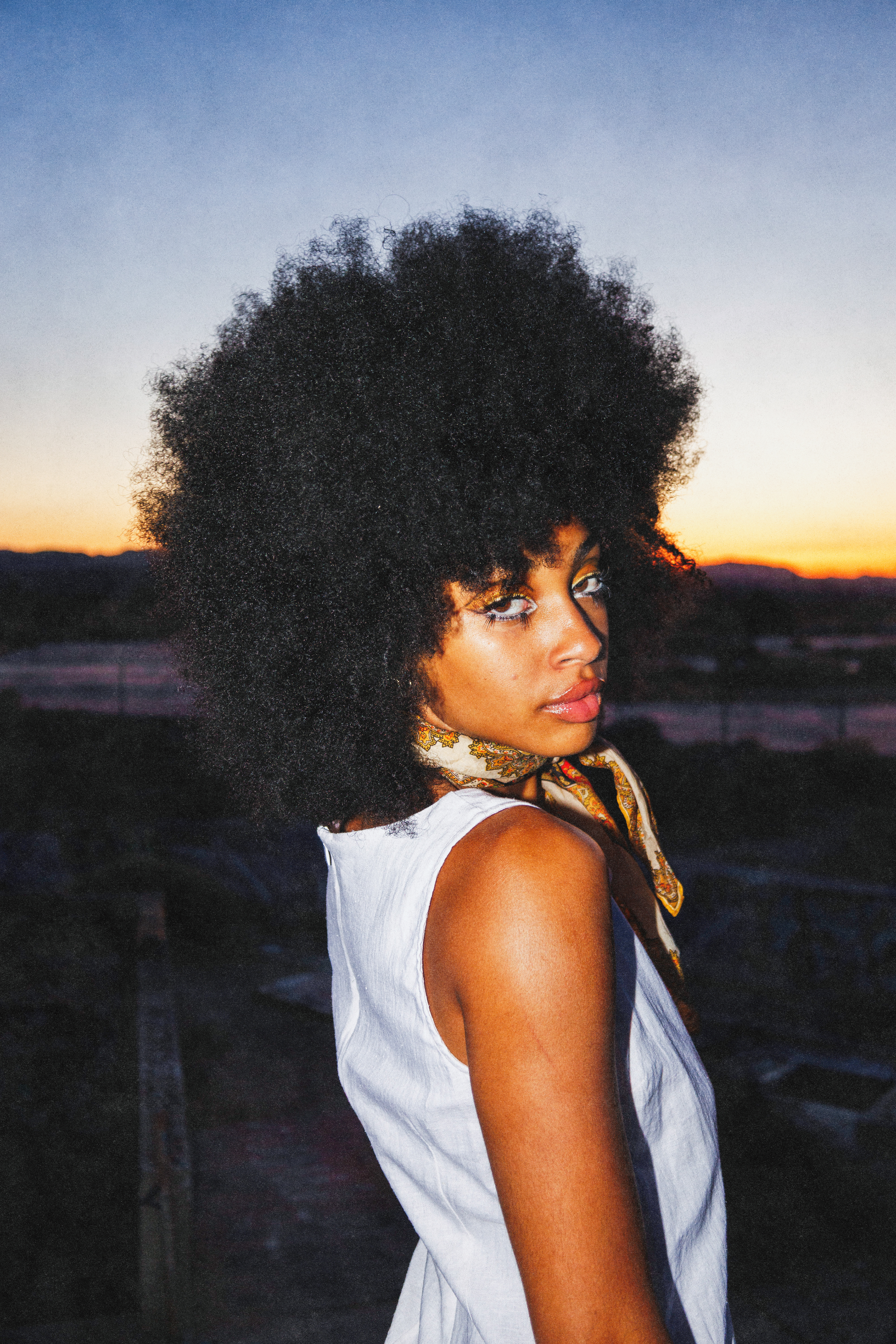 Image by Mickey Hameister