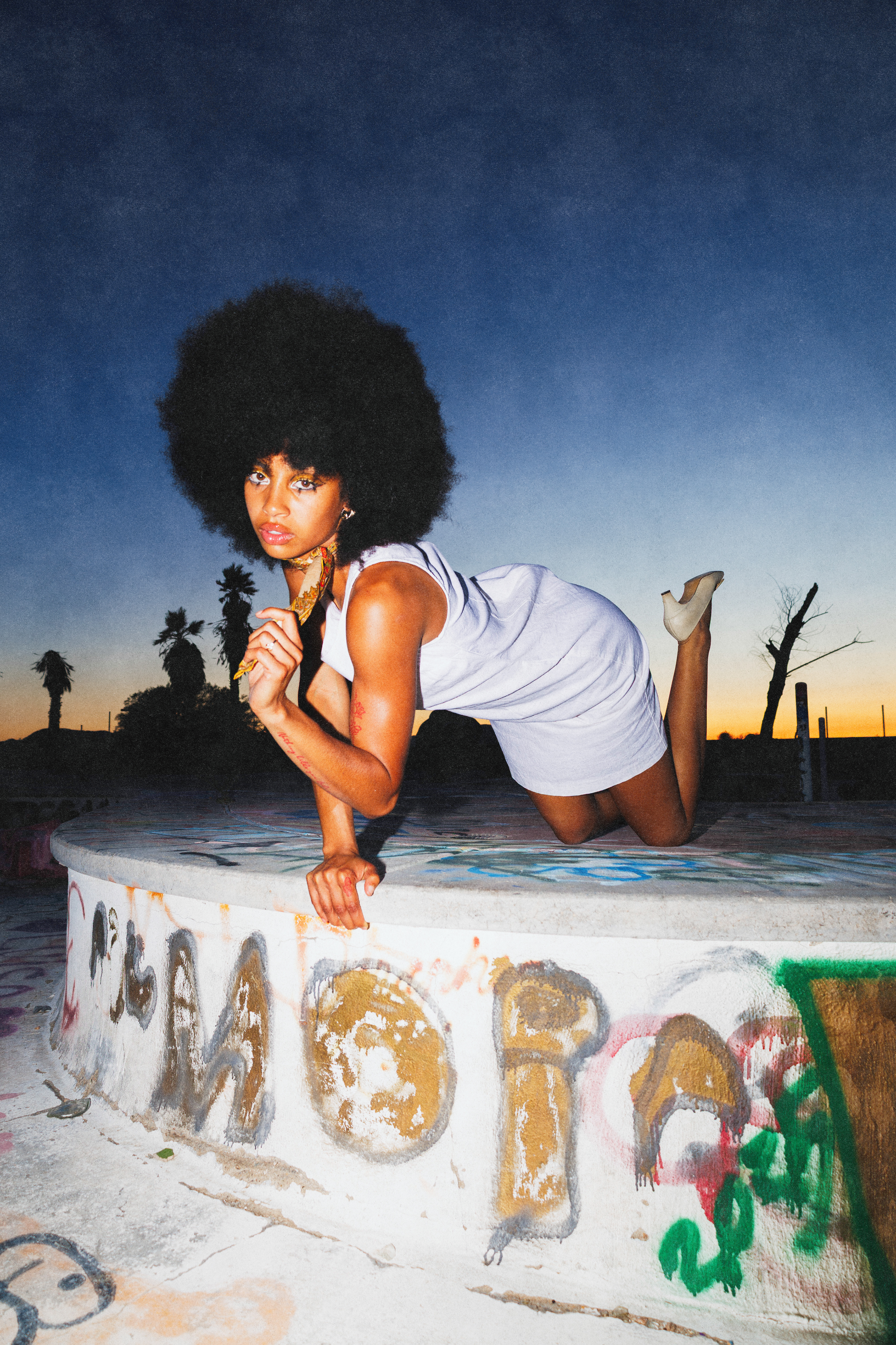 Image by Mickey Hameister