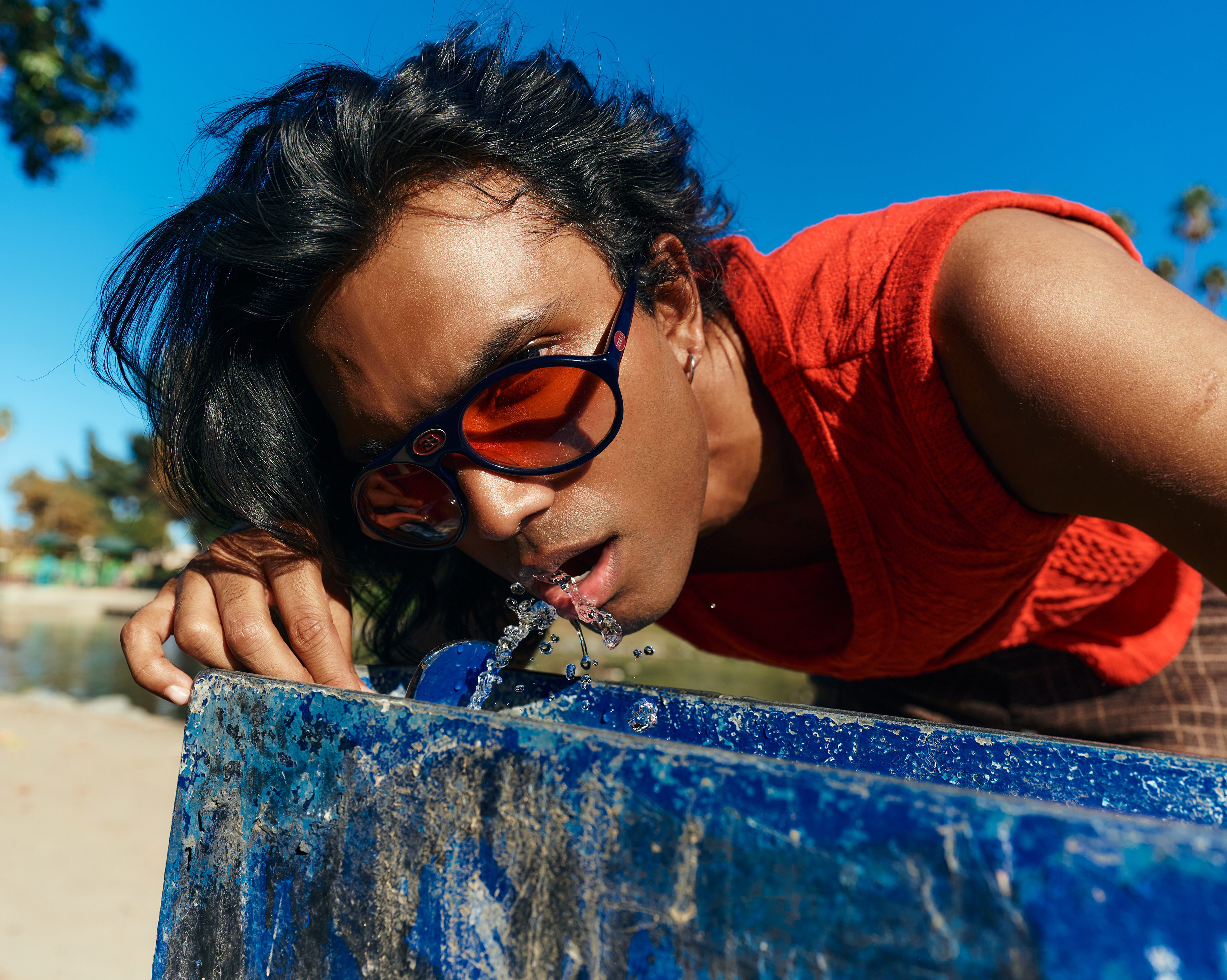 Image by Gabrielle Shamon