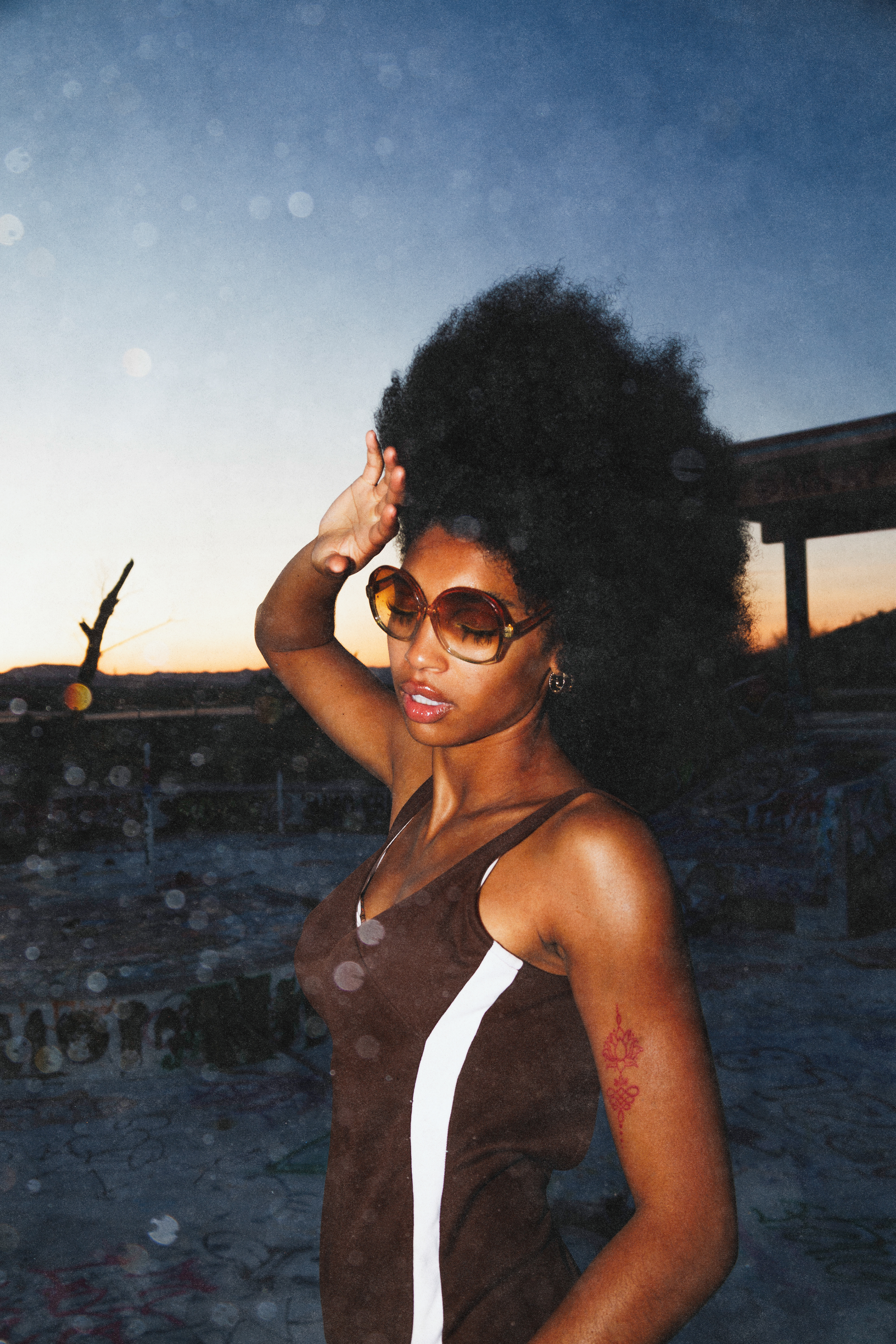 Image by Mickey Hameister