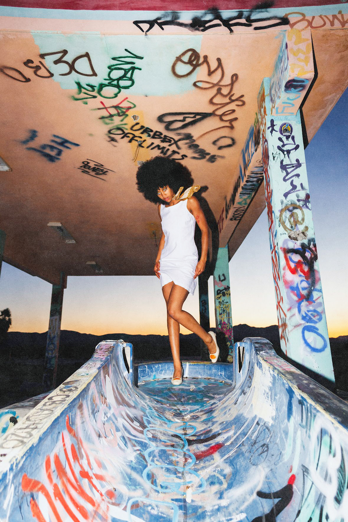 Image by Mickey Hameister