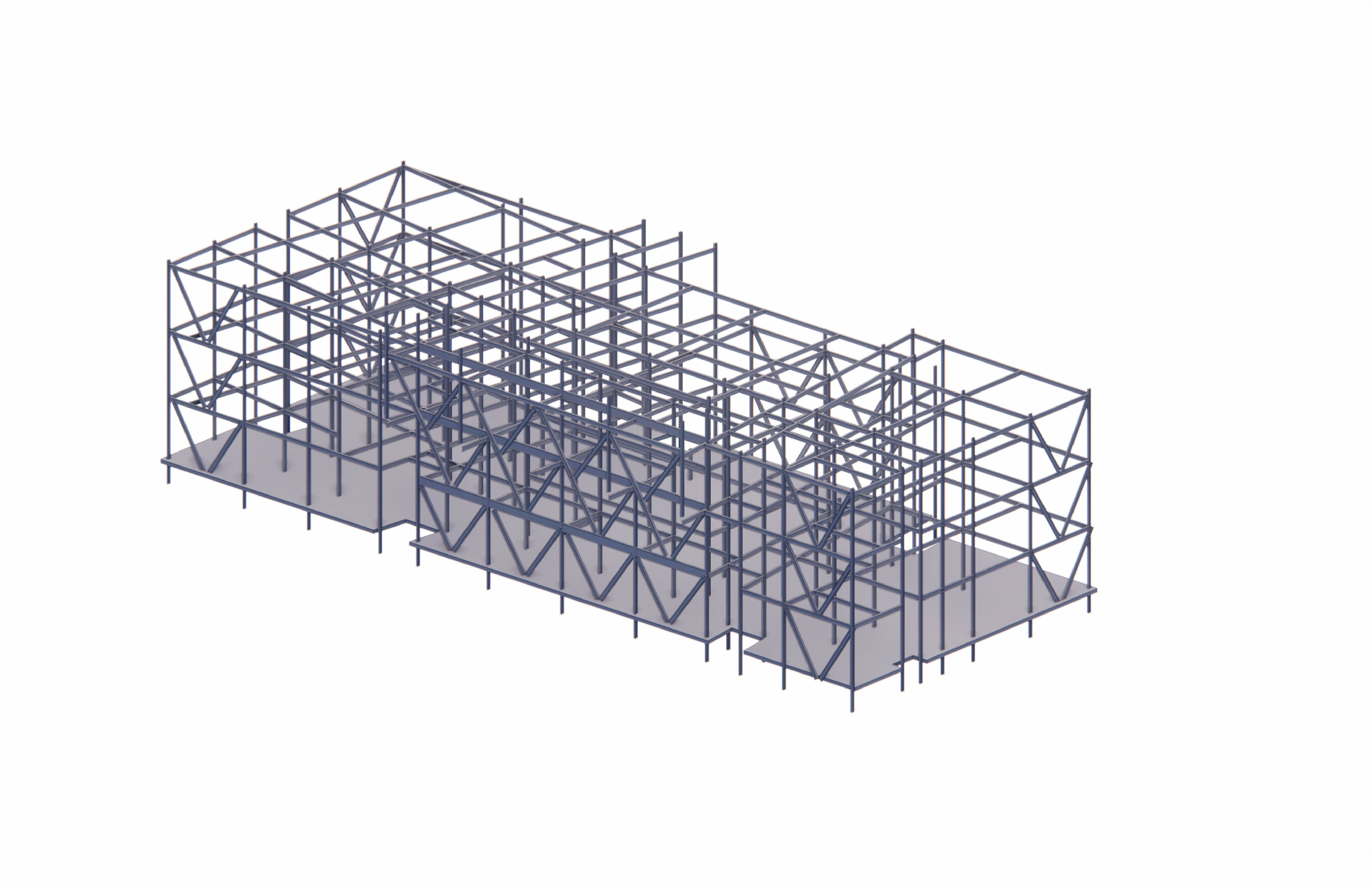 BONES MODEL