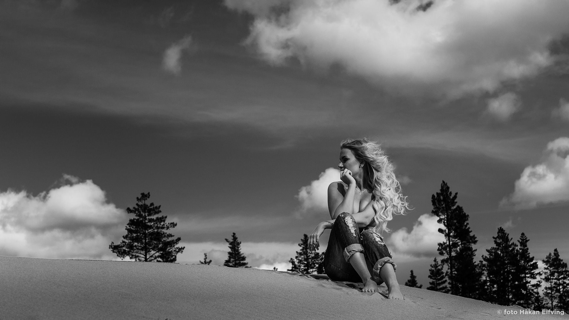 High grounds, eget projekt
