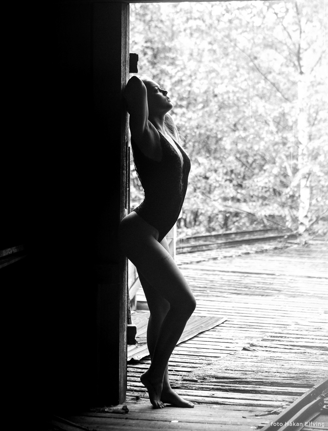 Sensuella porträtt