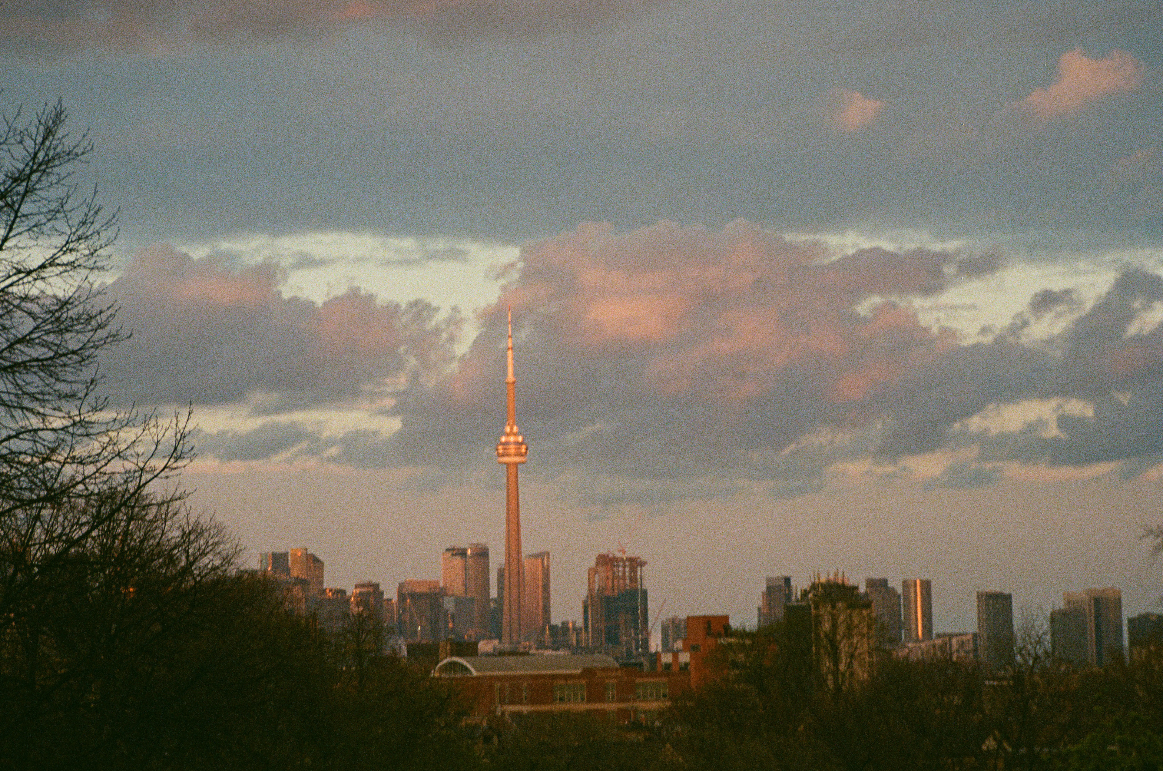 Toronto, ON. Treaty #13. Traditional lands of the Mississaugas of the Credit, the Anishnabeg, the Chippewa, the Haudenosaunee and the Wendat peoples.