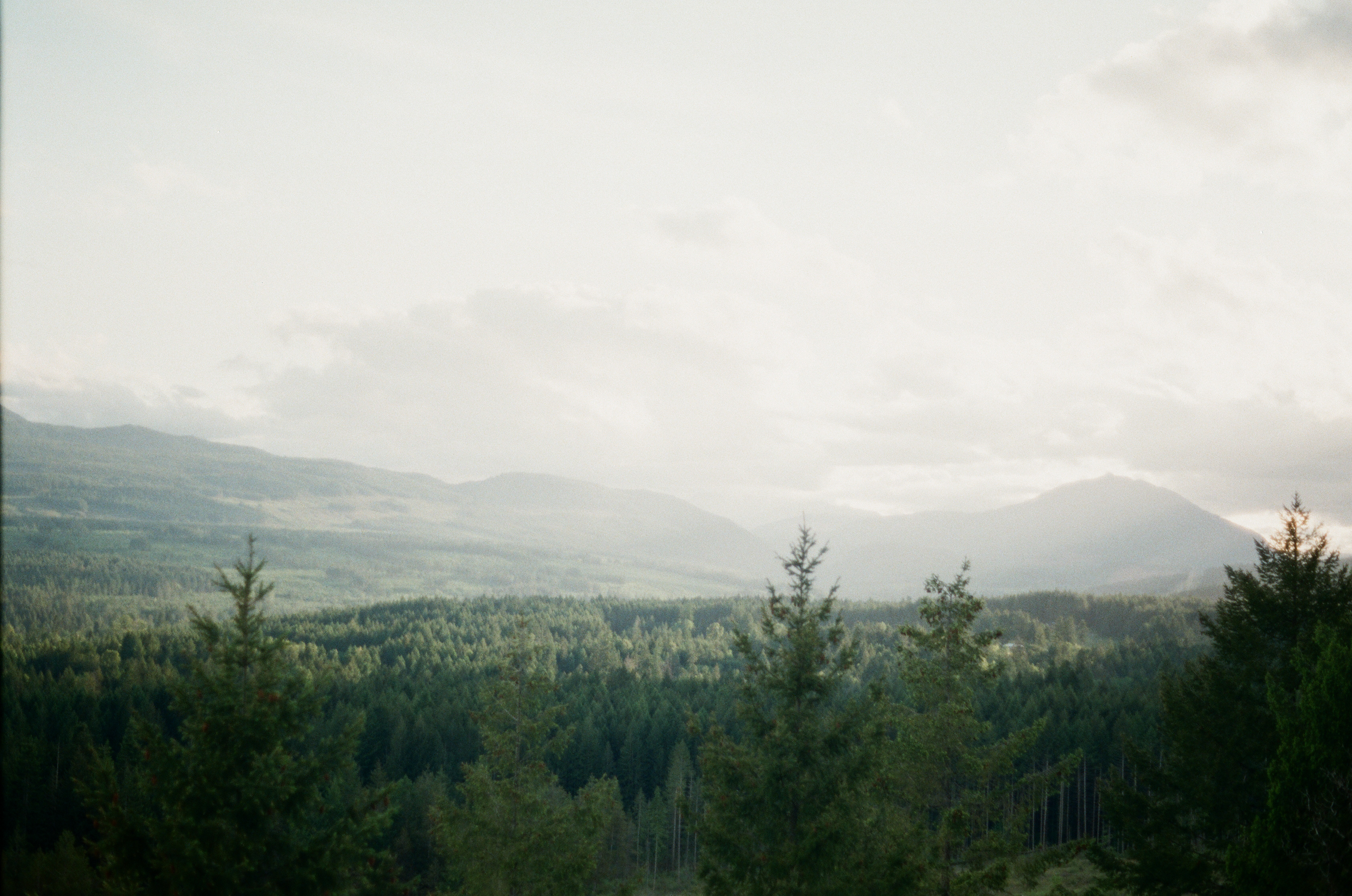 Nanaimo, BC. Traditional lands of the Snuneymuxw Nation