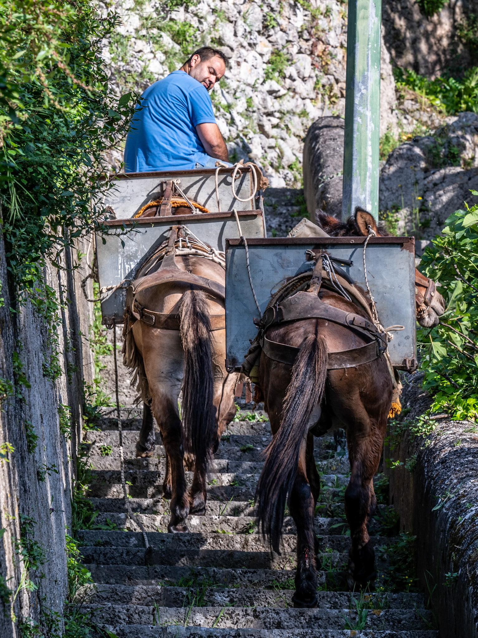 1/160 sec · f/8.0 · ISO 100 · 120 mm