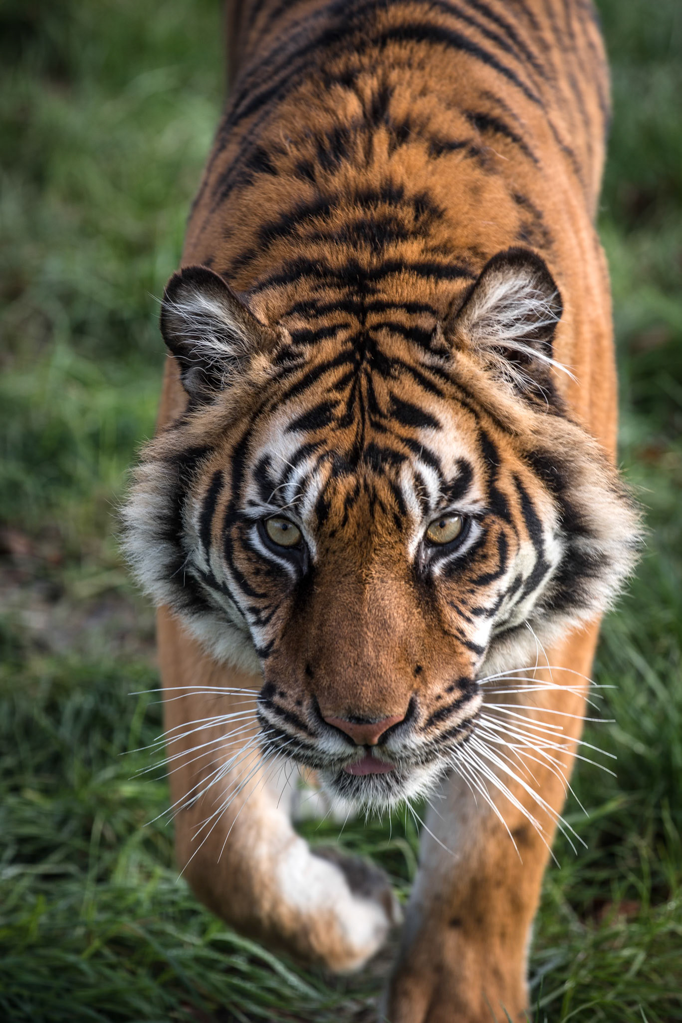 1/200 sec · f/5.6 · ISO 250 · 200 mm