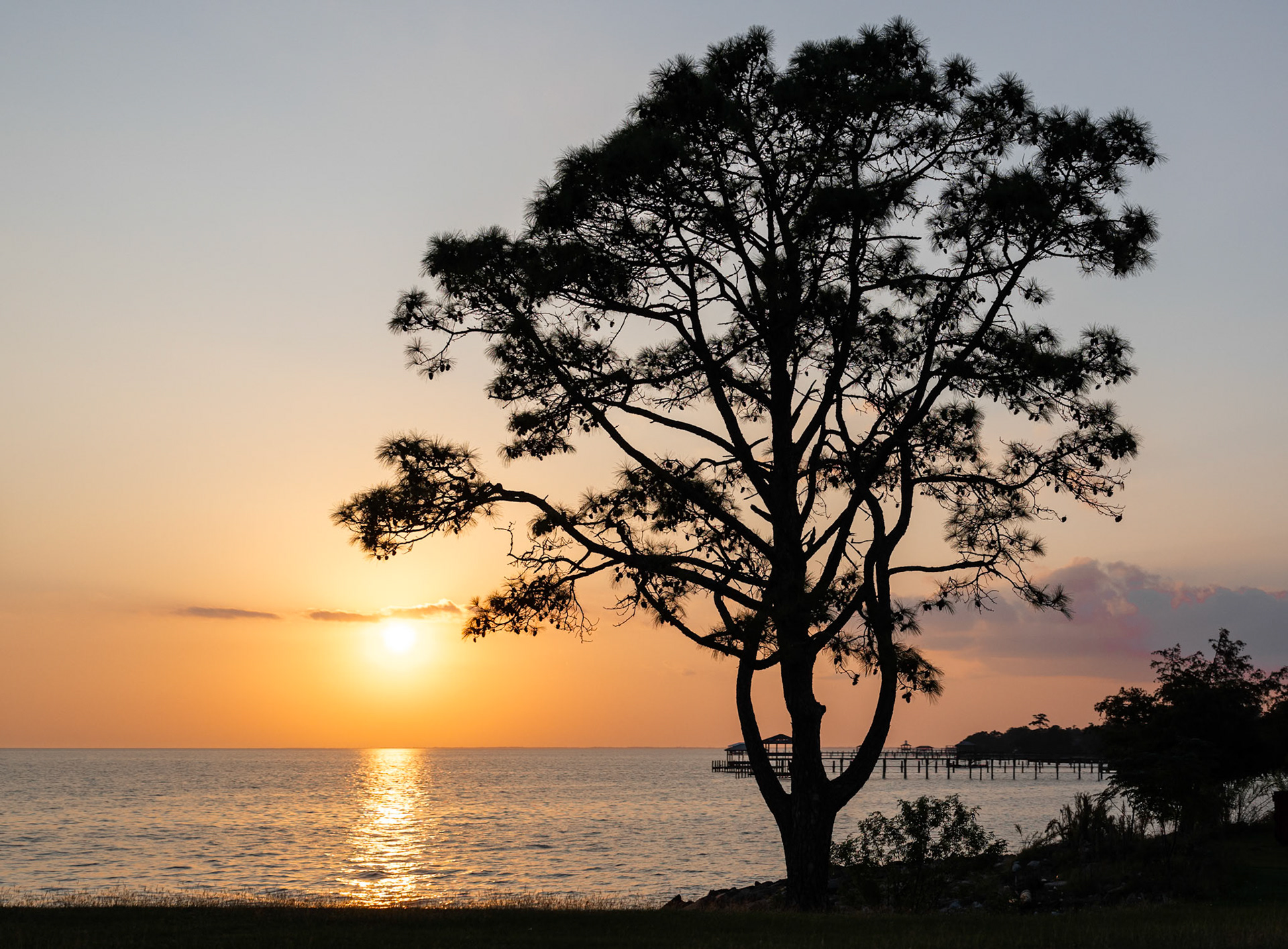 1/500 sec · f/5.0 · ISO 100 · 24 mm