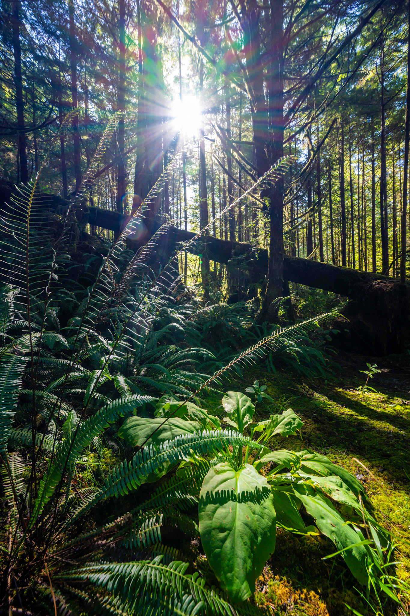 1/15 sec · f/8.0 · ISO 160 · 14 mm