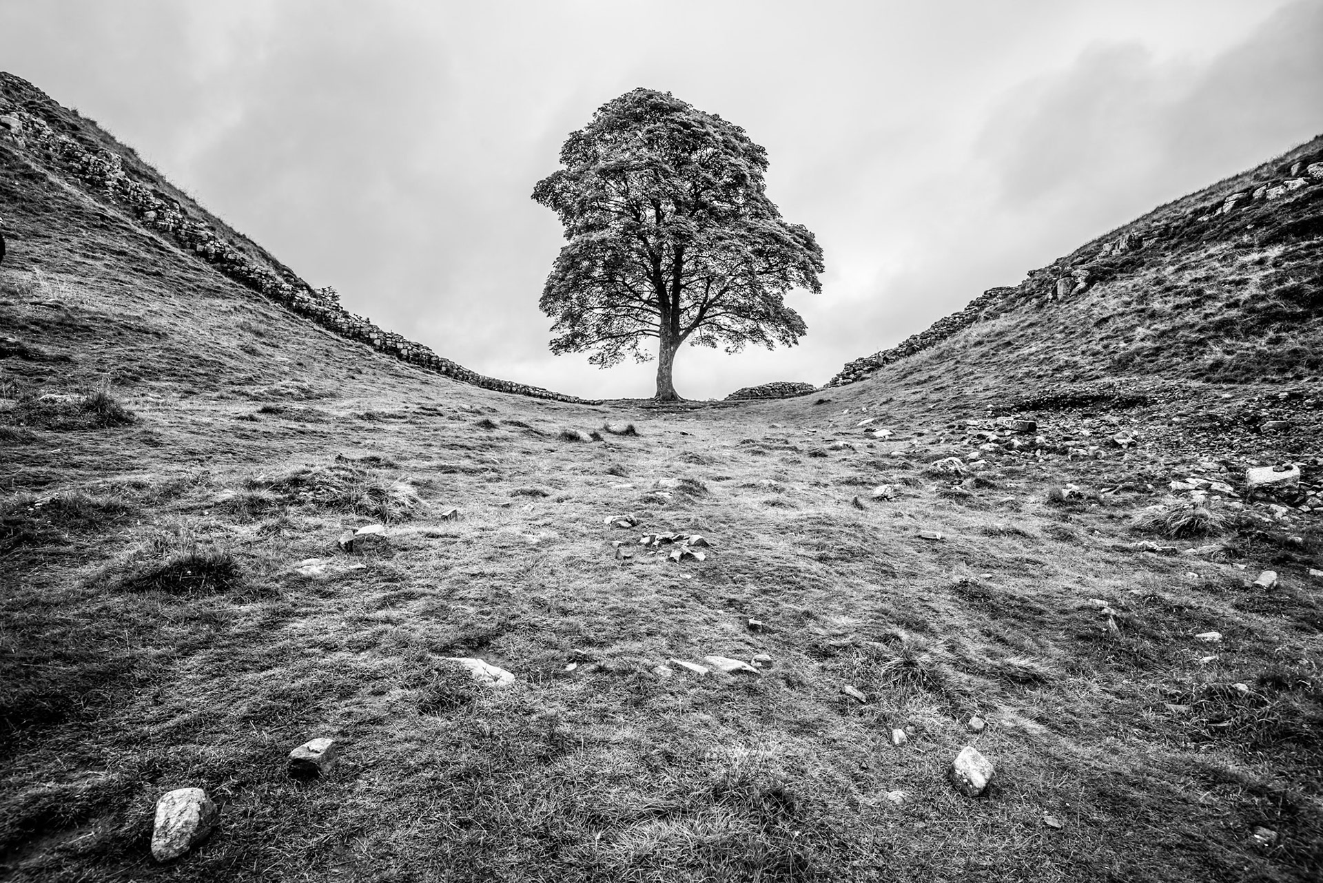 1/250 sec · f/8.0 · ISO 100 · 16 mm