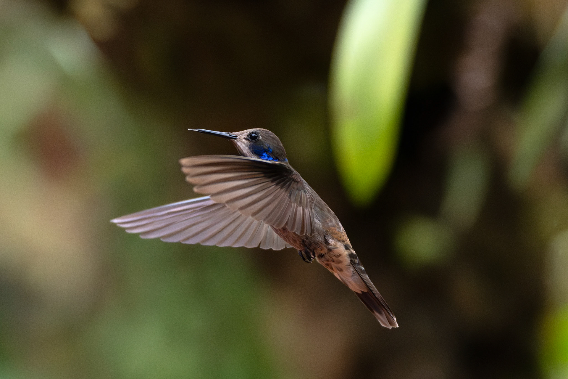 1/4000 sec · f/2.8 · ISO 8000 · 96 mm