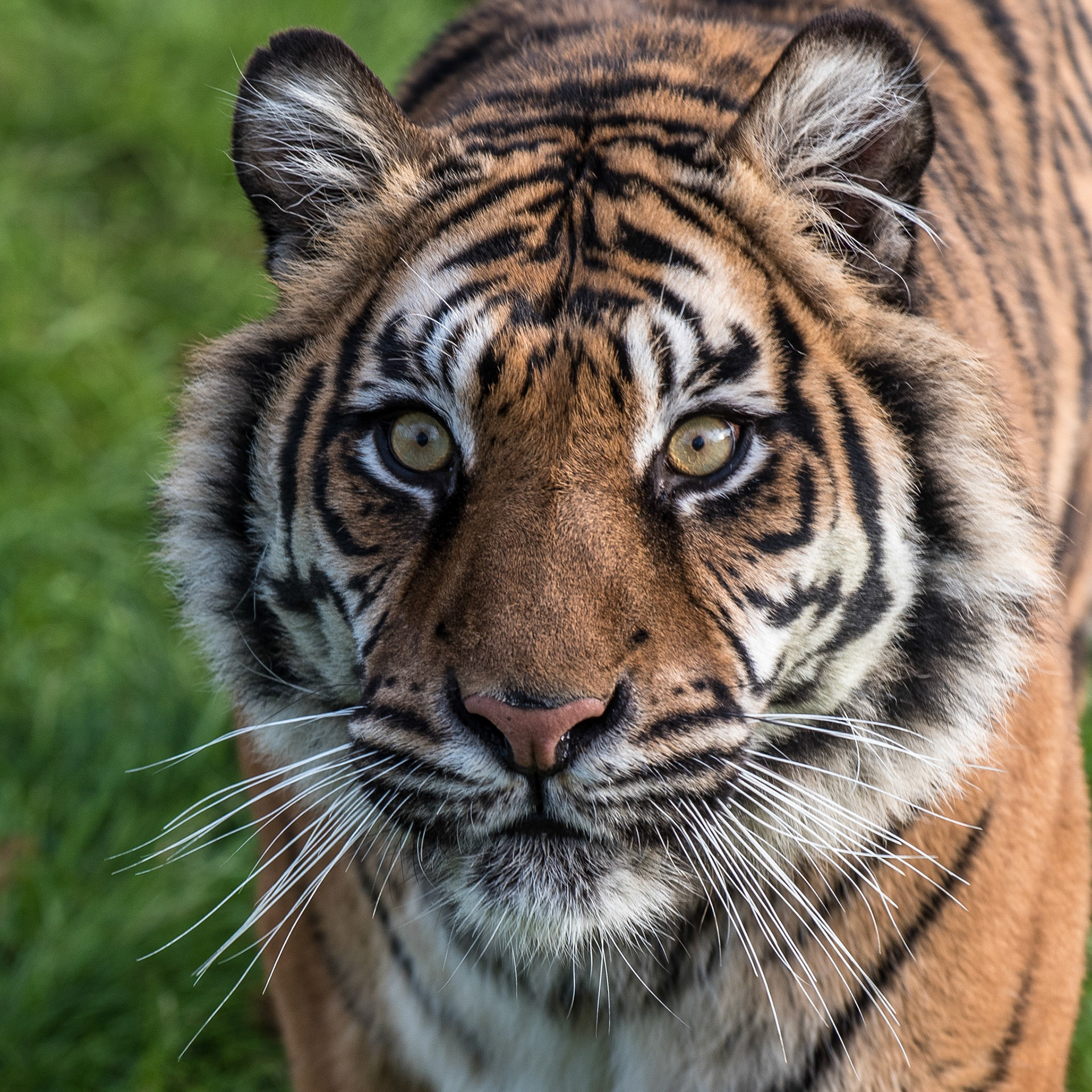 1/200 sec · f/5.6 · ISO 220 · 170 mm