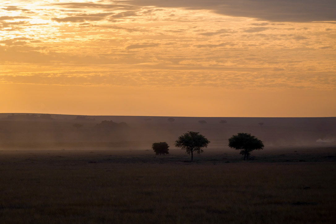 1/400 sec · f/4.0 · ISO 64 · 180 mm