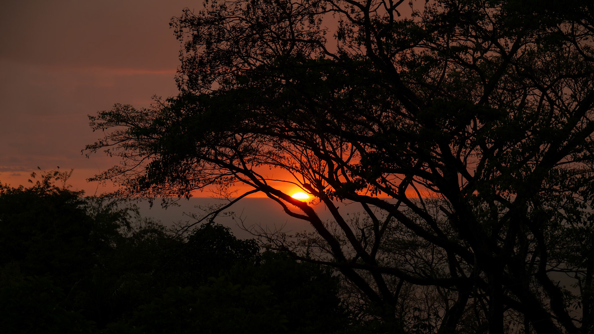 1/160 sec · f/8.0 · ISO 800 · 120 mm