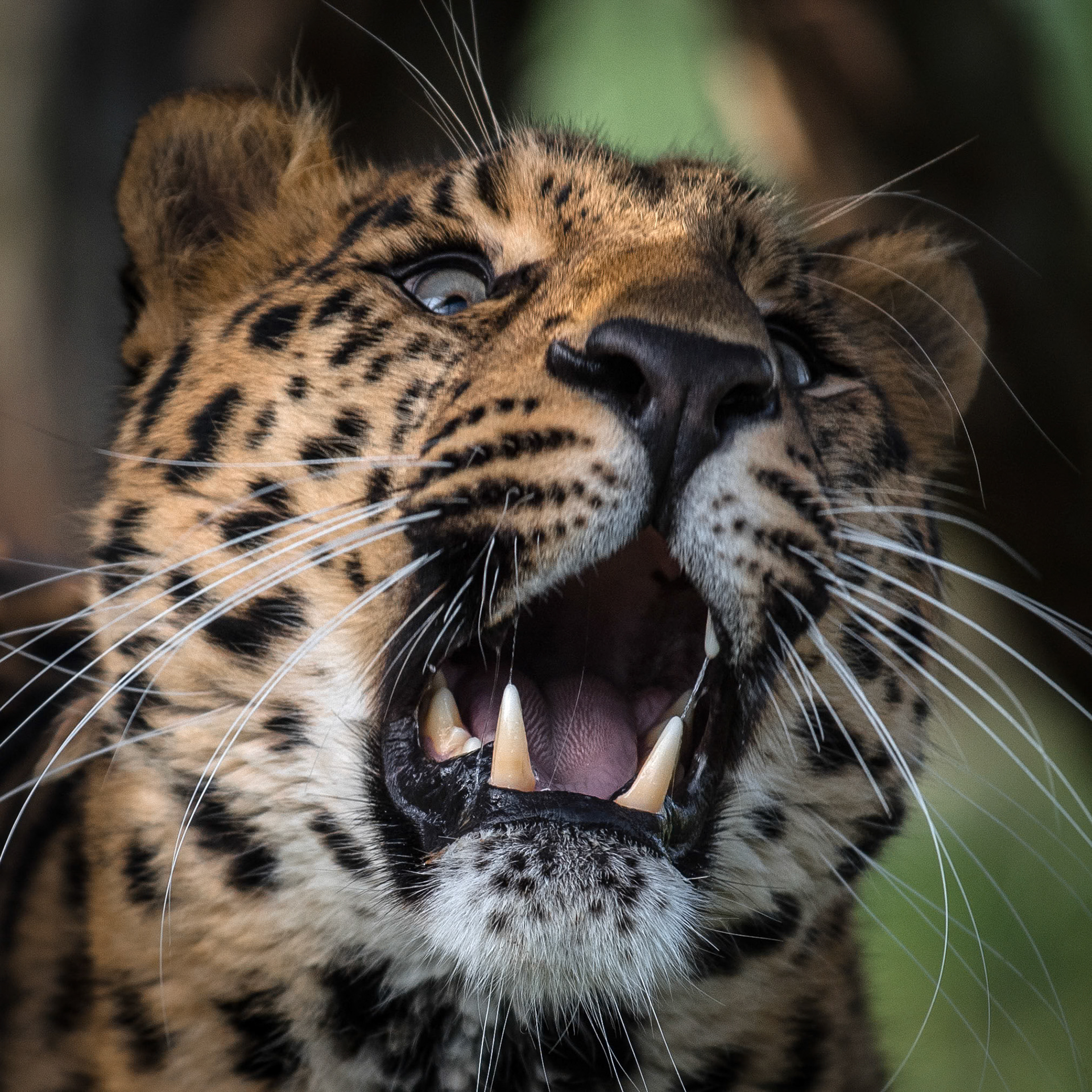 1/2000 sec · f/4.0 · ISO 640 · 200 mm