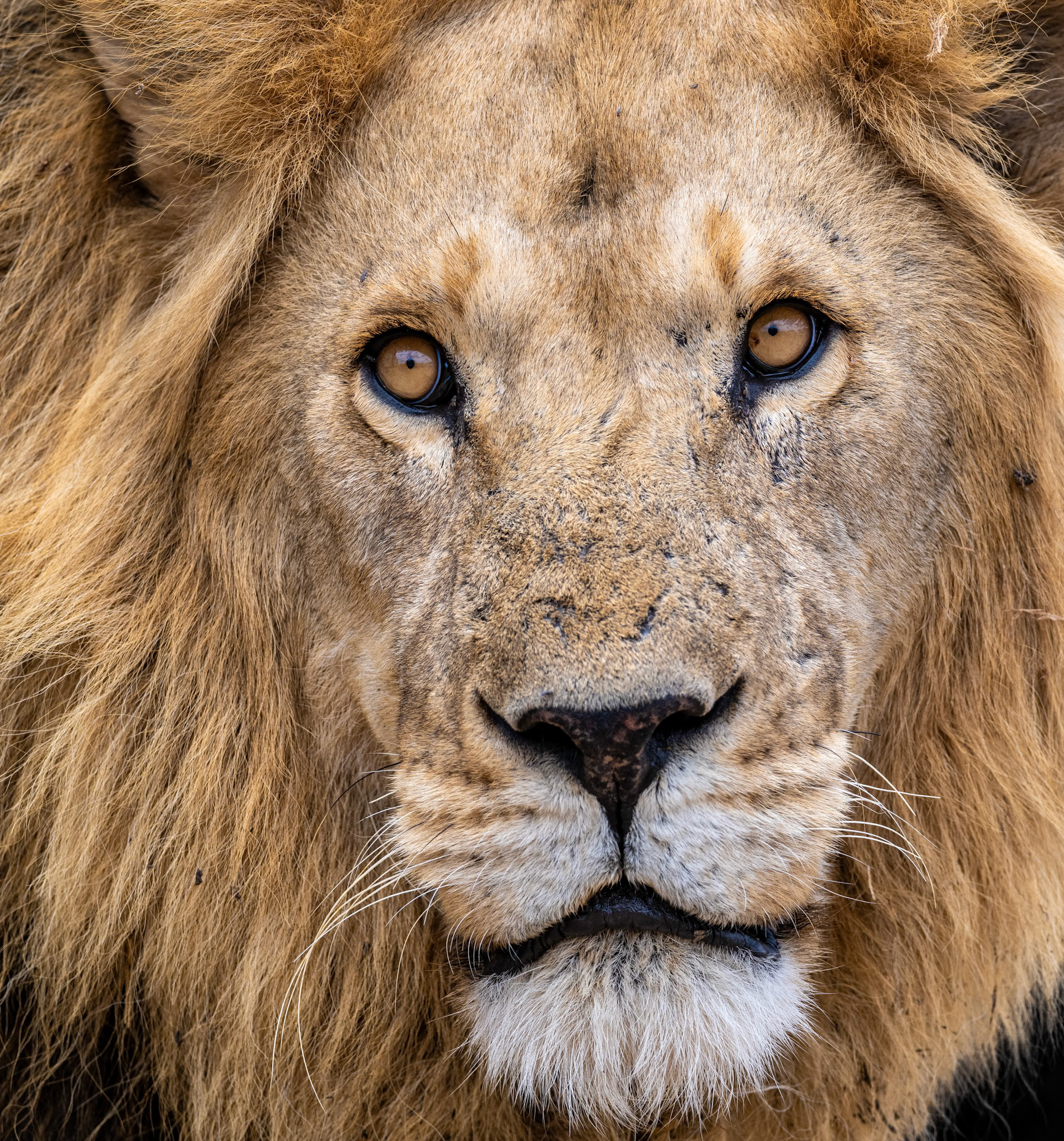 1/1000 sec · f/6.0 · ISO 400 · 390 mm