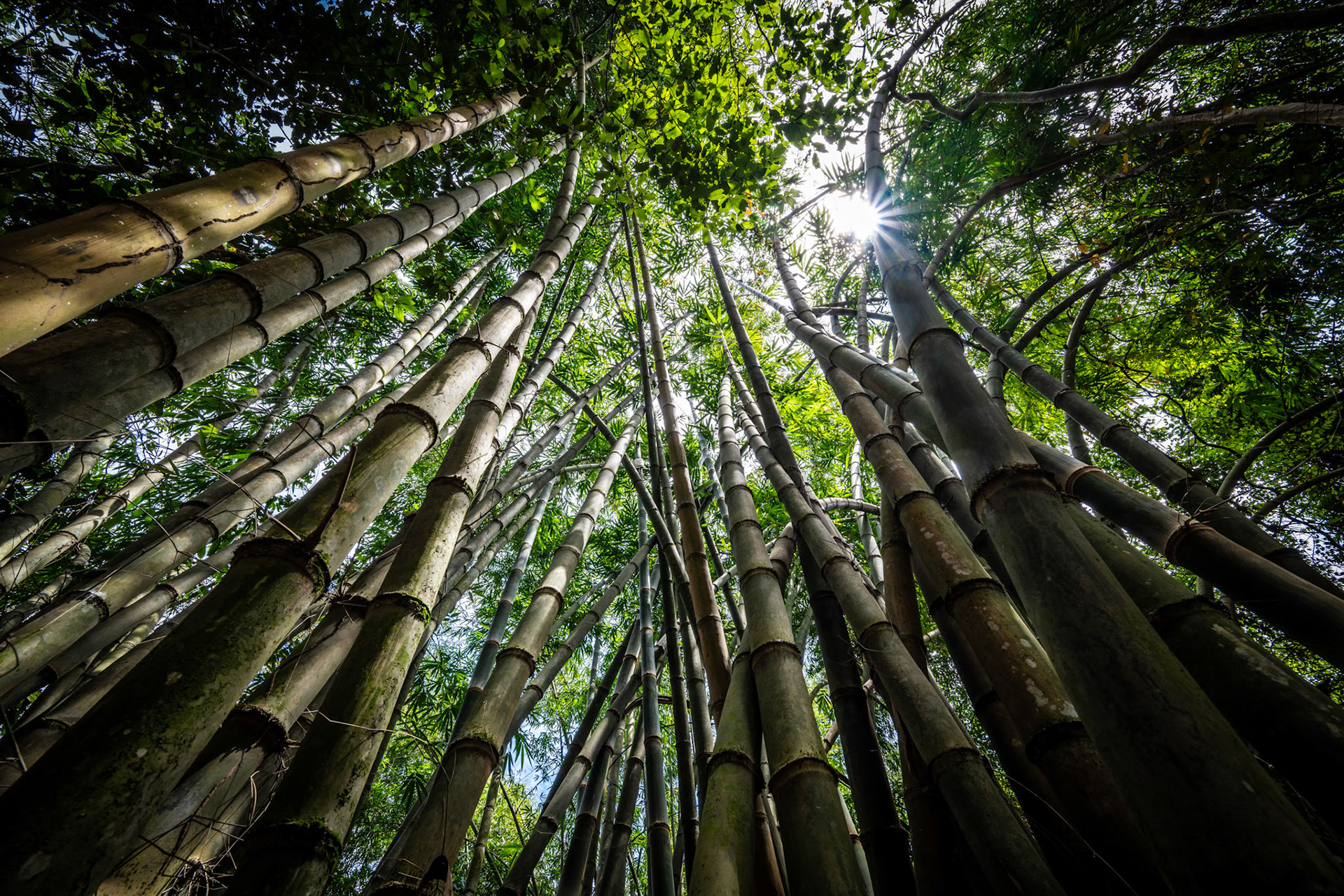 1/40 sec · f/11 · ISO 100 · 14 mm