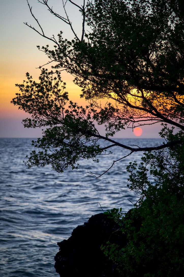1/100 sec · f/8.0 · ISO 100 · 120 mm